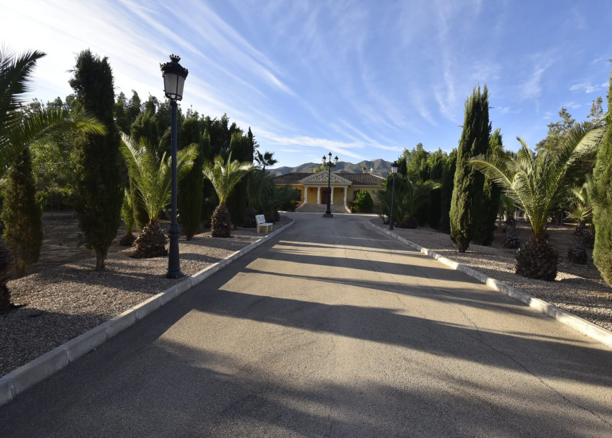 Resale - 3. Semi-detached house - La Mata - Costa Blanca South