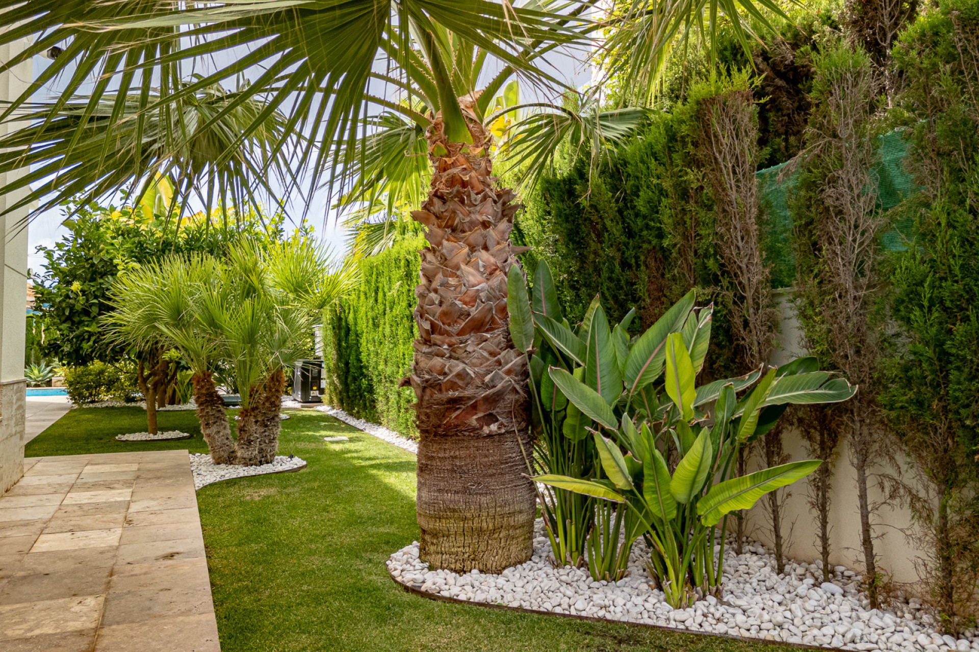 Resale - 3. Semi-detached house - La Zenia - Costa Blanca South