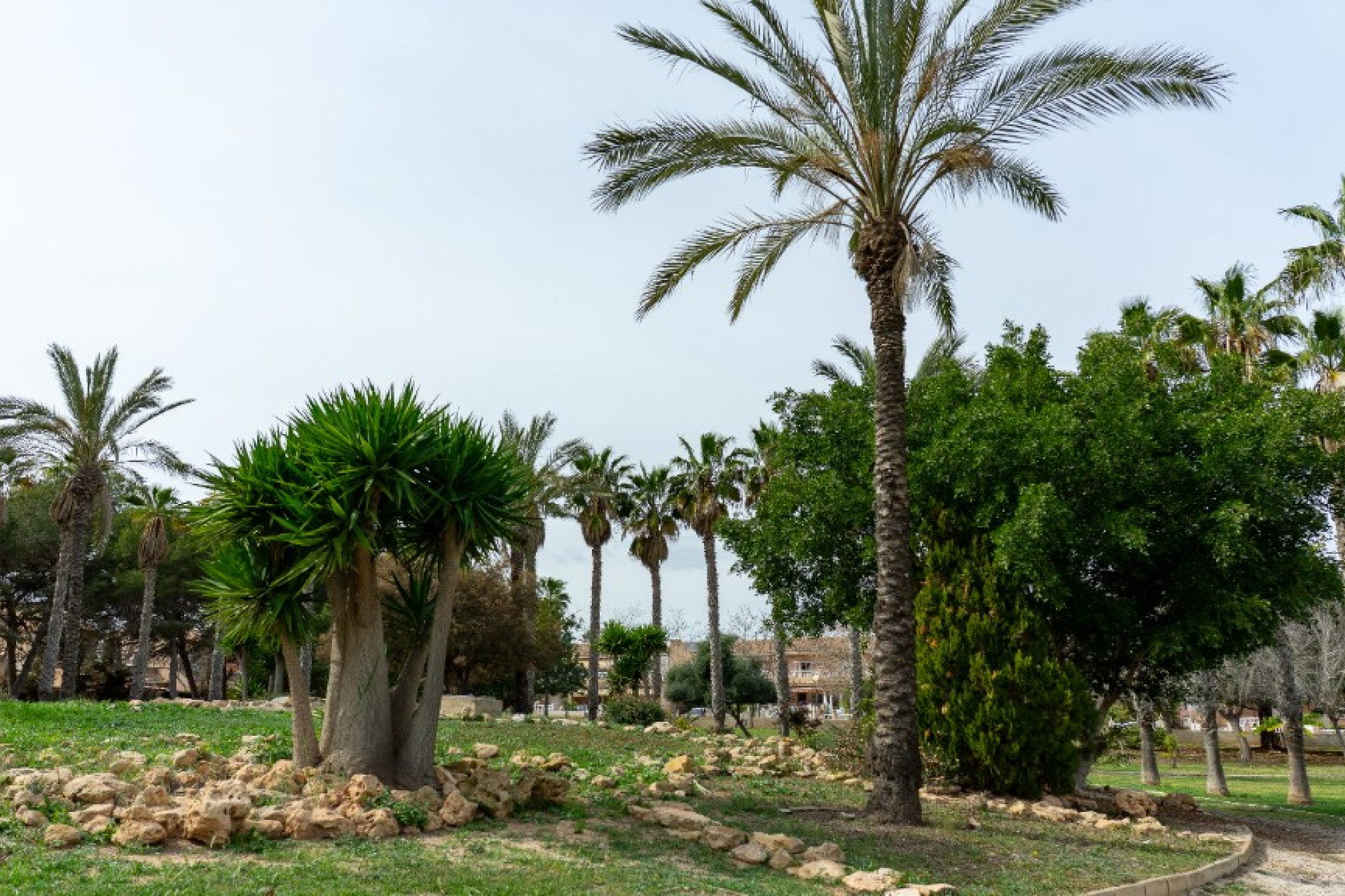 Resale - 3. Semi-detached house - Los Altos - Costa Blanca South