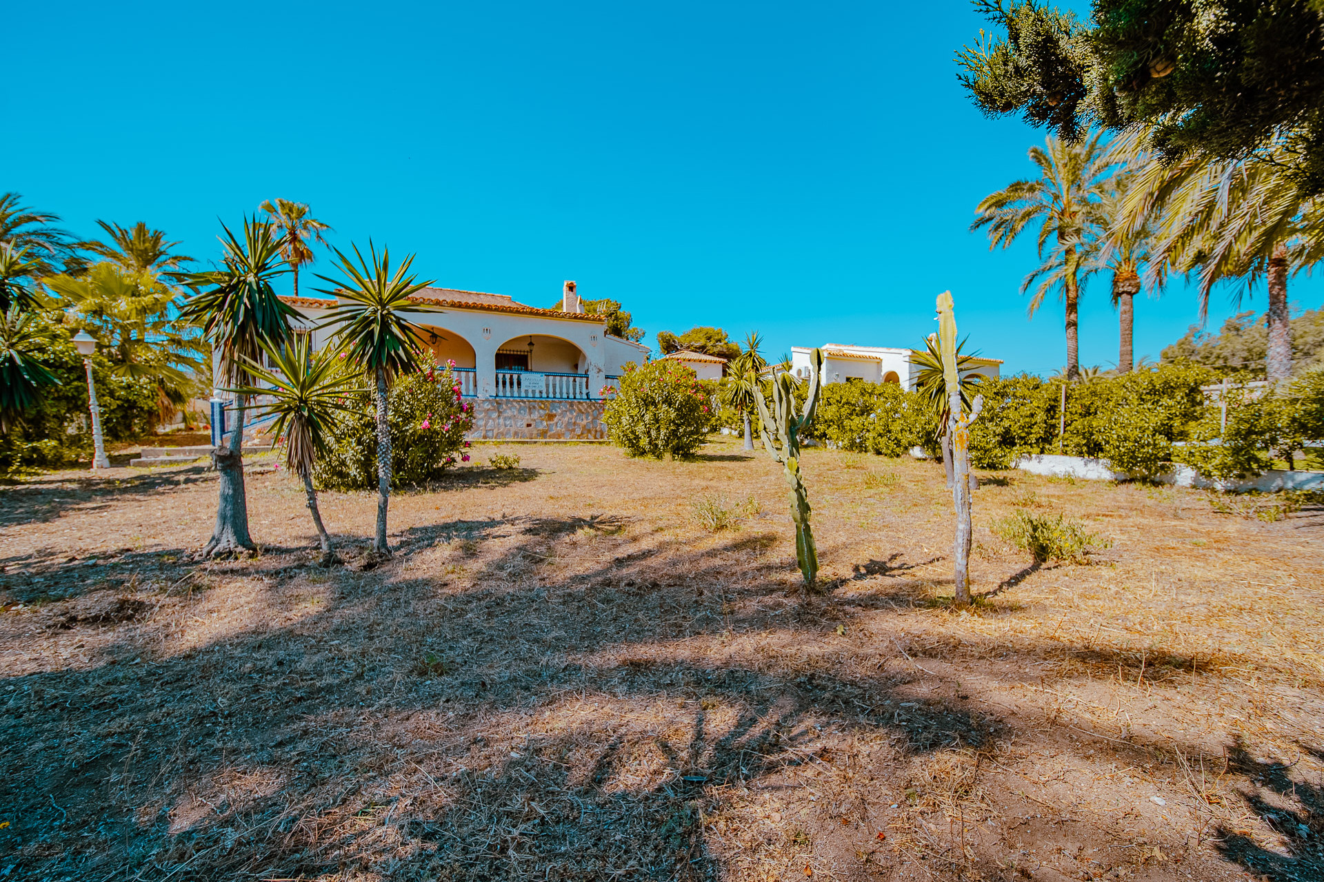 Resale - 3. Semi-detached house - Orihuela Costa - Costa Blanca South