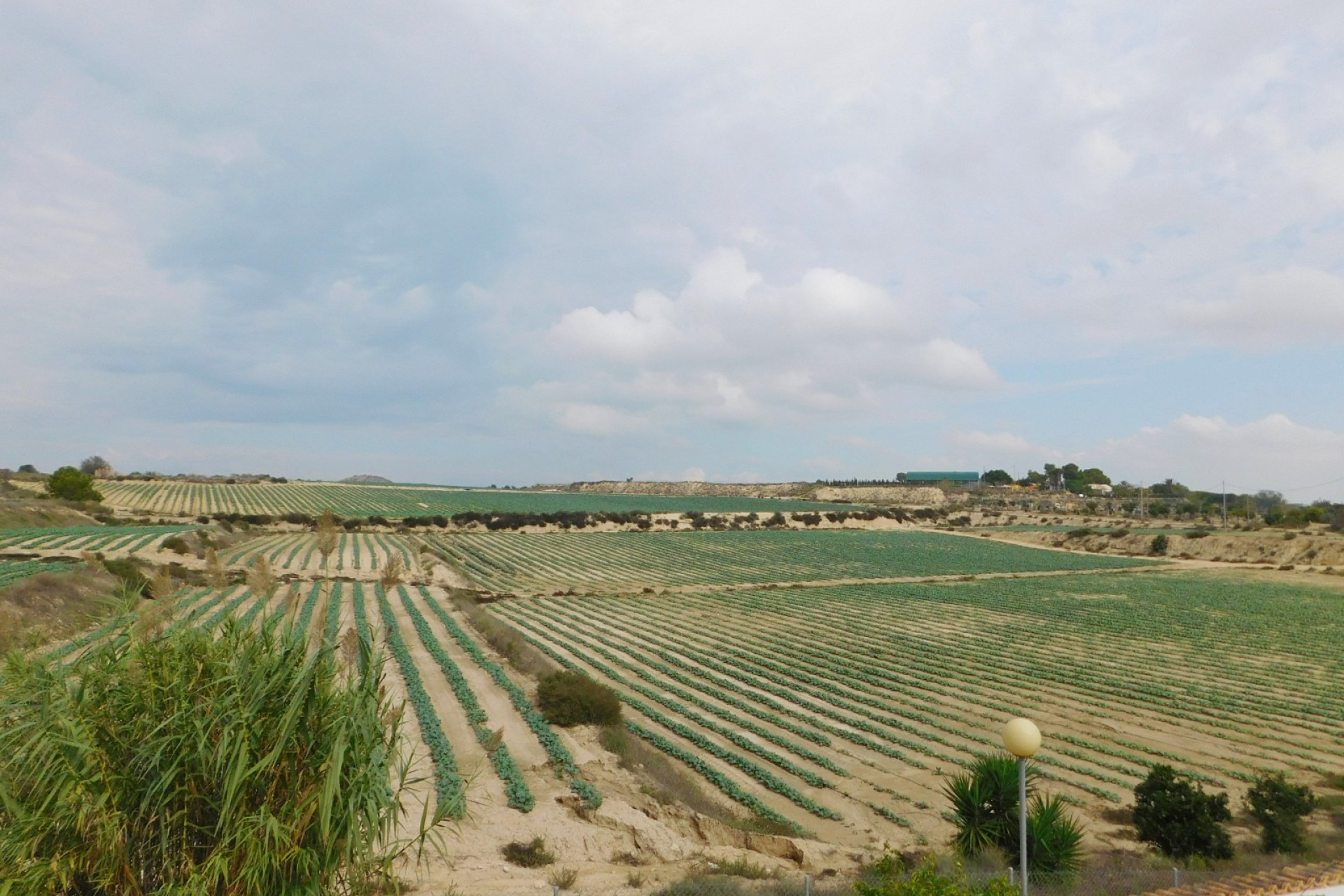 Resale - 3. Semi-detached house - San Miguel de Salinas - Costa Blanca South