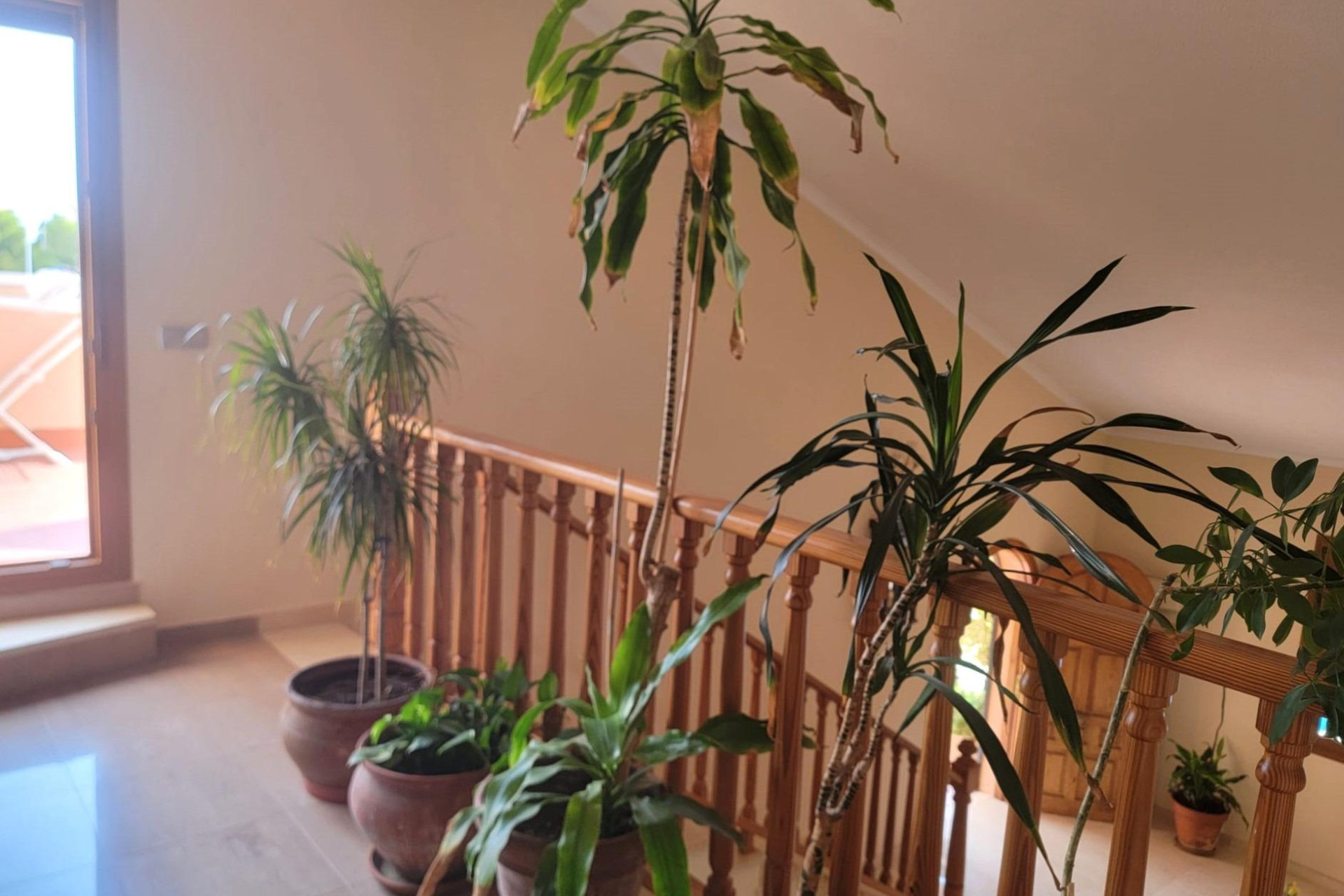 Resale - 3. Semi-detached house - Torrevieja - Costa Blanca South