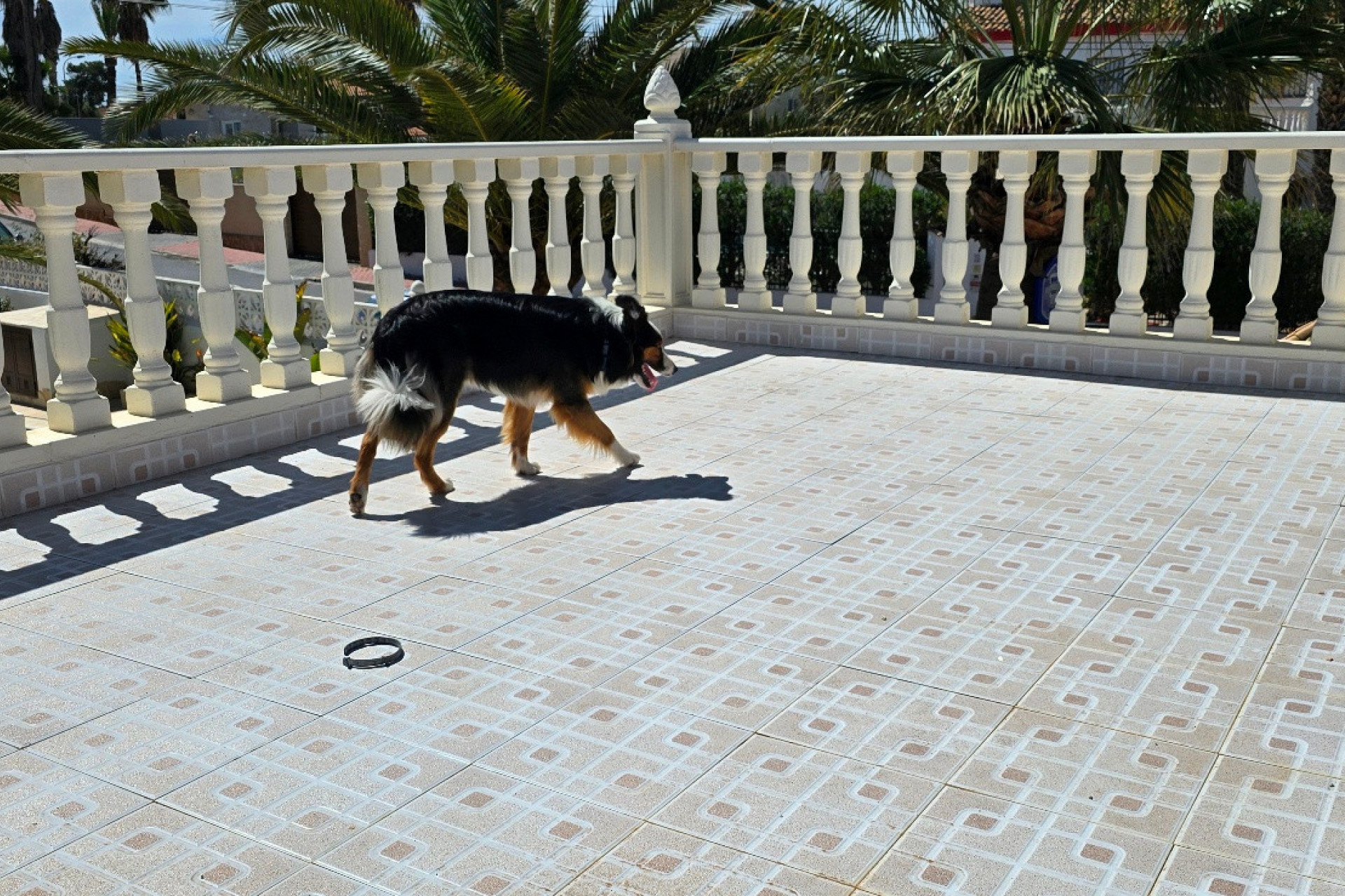 Resale - 3. Semi-detached house - Torrevieja - Costa Blanca South