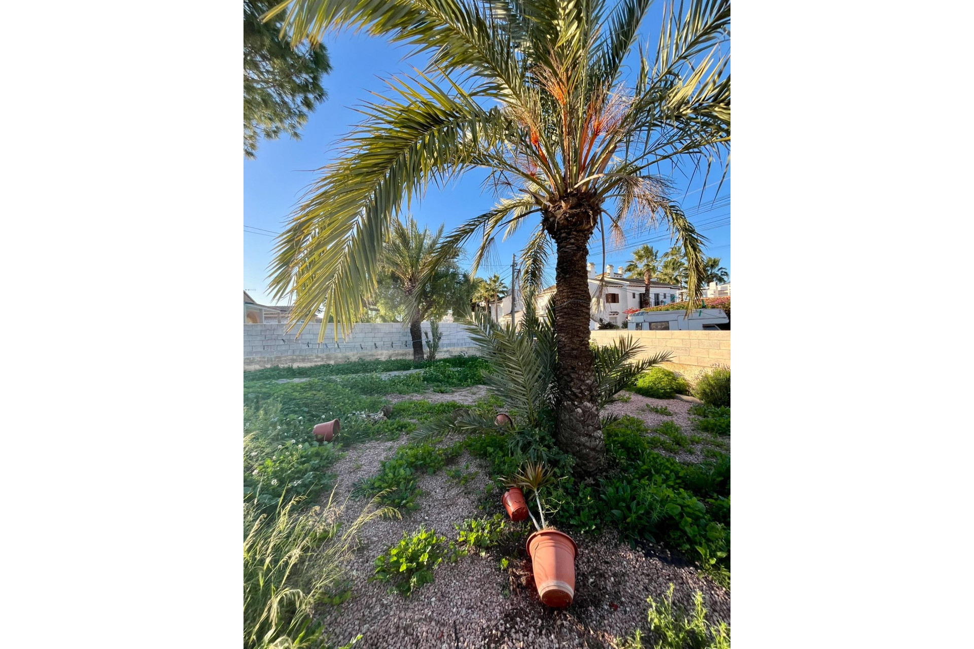 Resale - 3. Semi-detached house - Torrevieja - Costa Blanca South