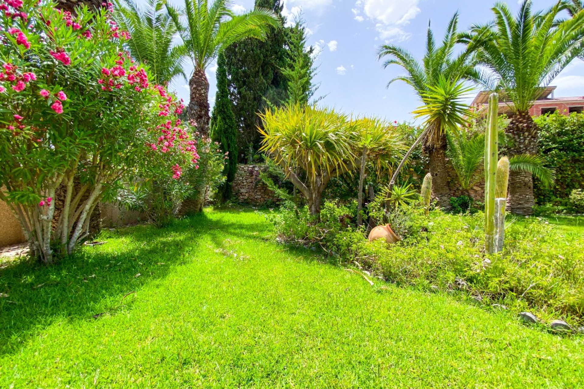 Resale - 3. Semi-detached house - Villamartin - Costa Blanca South