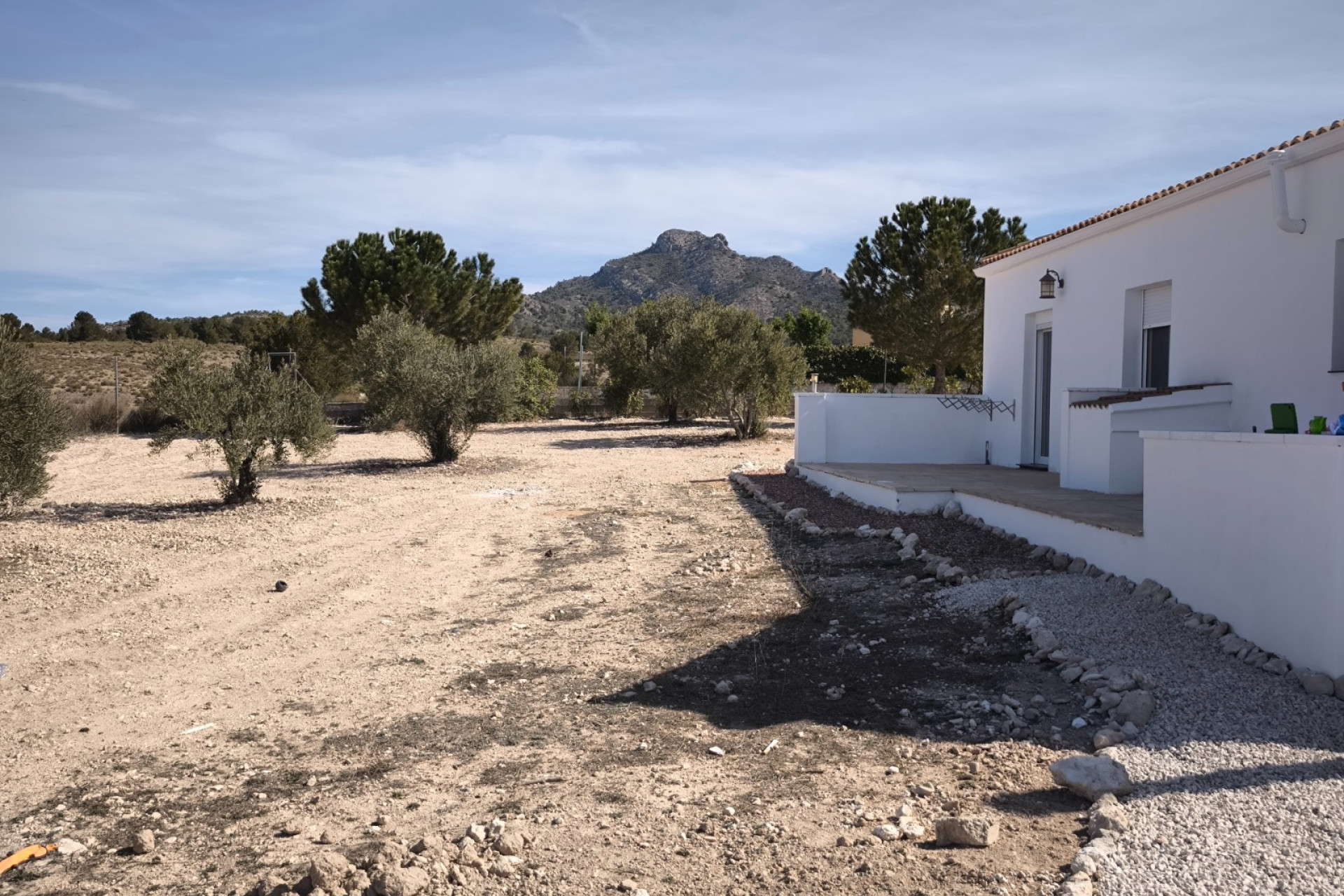 Resale - 4. House - Detached Villa - Salinas - Pinoso