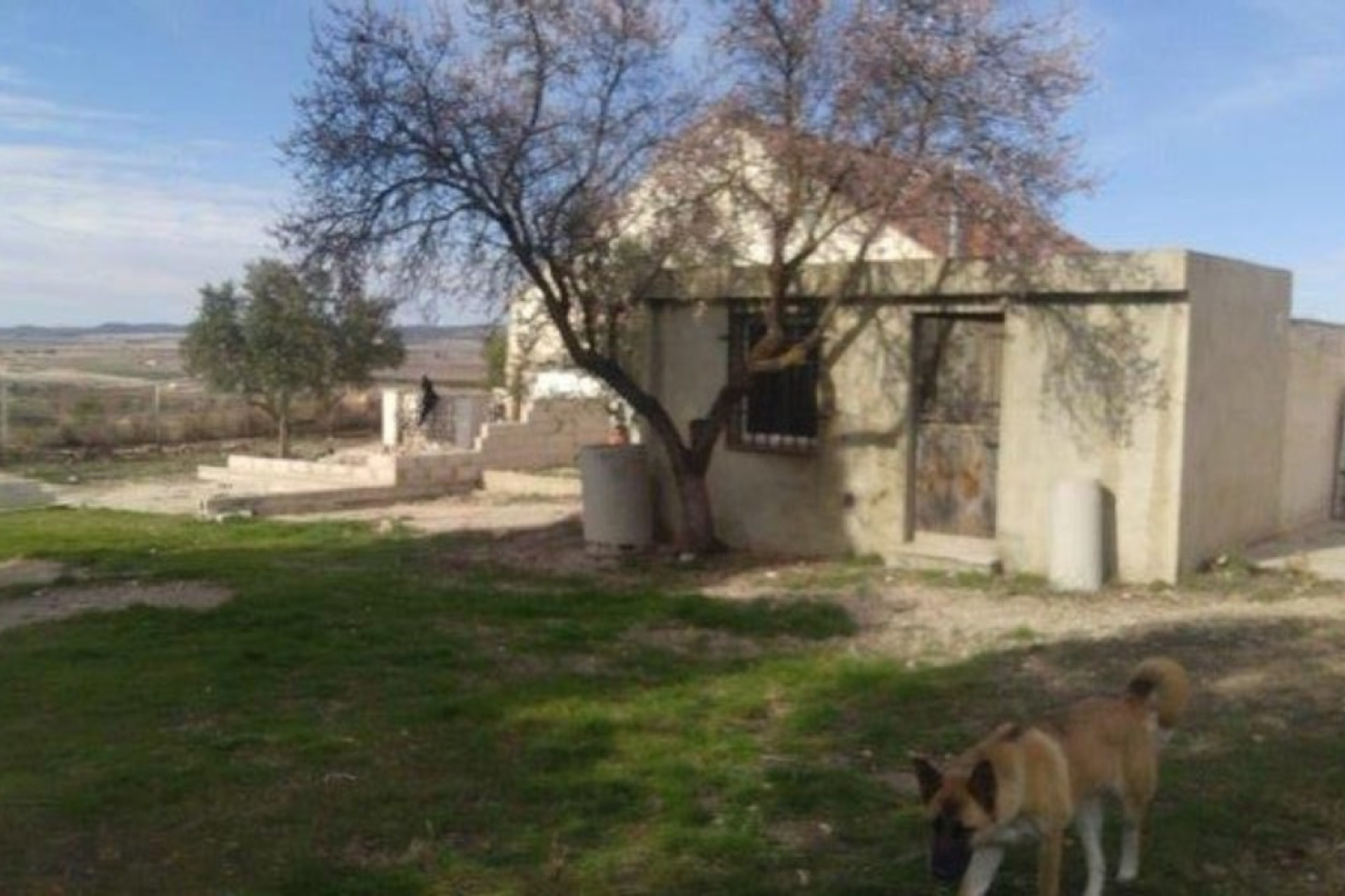 Resale - 4. House - Detached Villa - Yecla - Pinoso