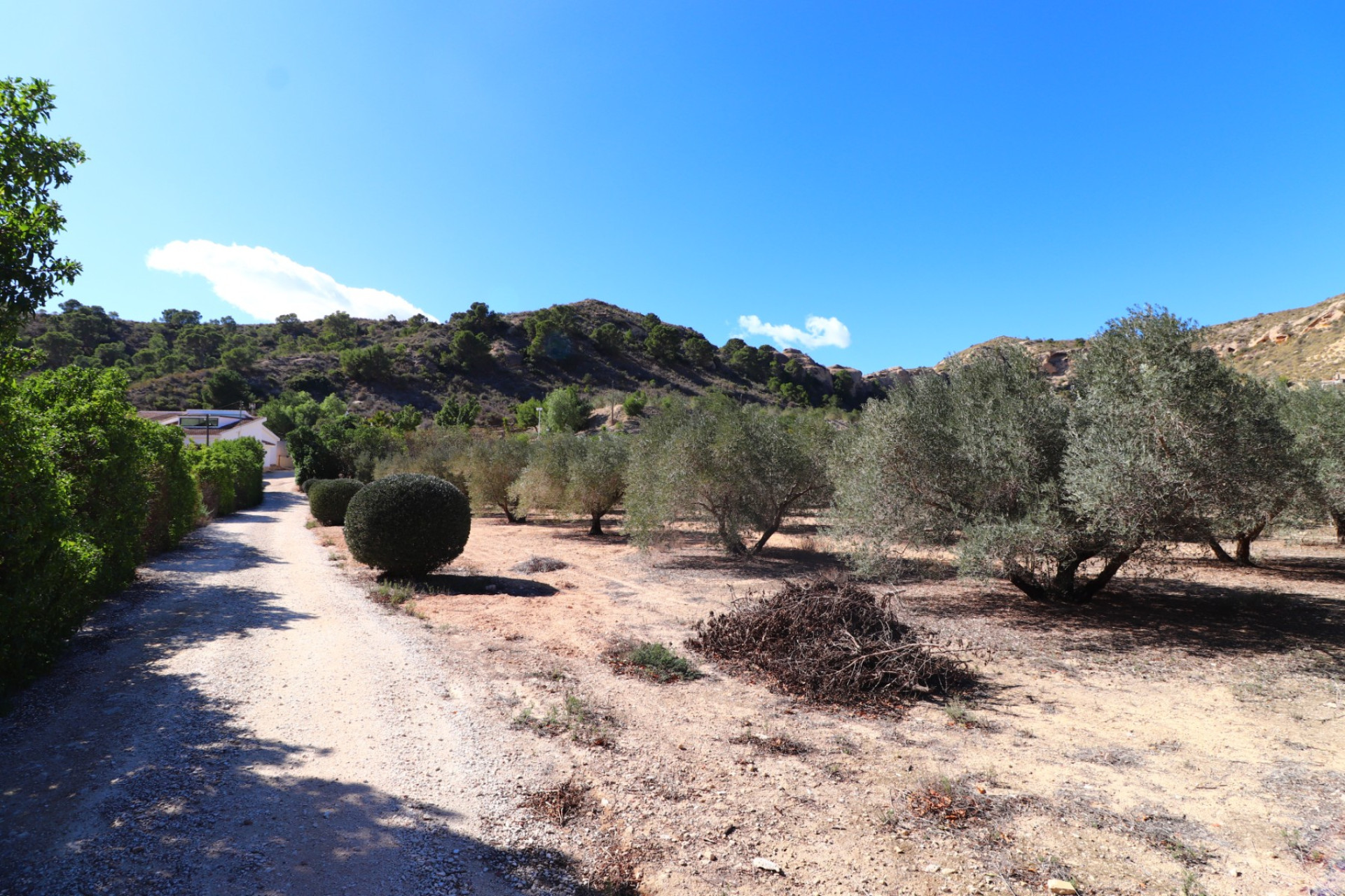 Resale - 5. Finca / Country Property - Aspe - Pinoso