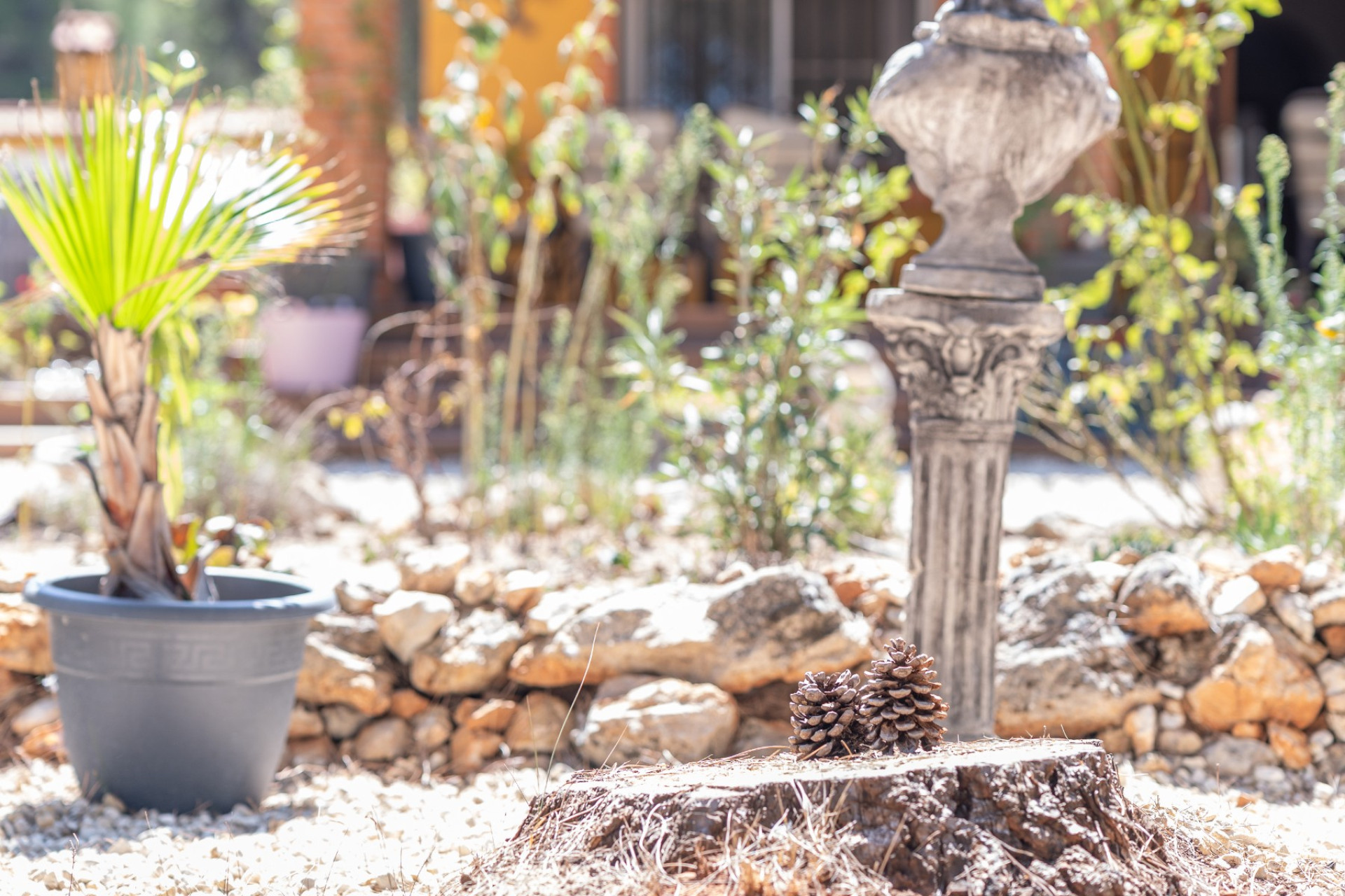 Resale - 5. Finca / Country Property - Bocairent - Costa Blanca North