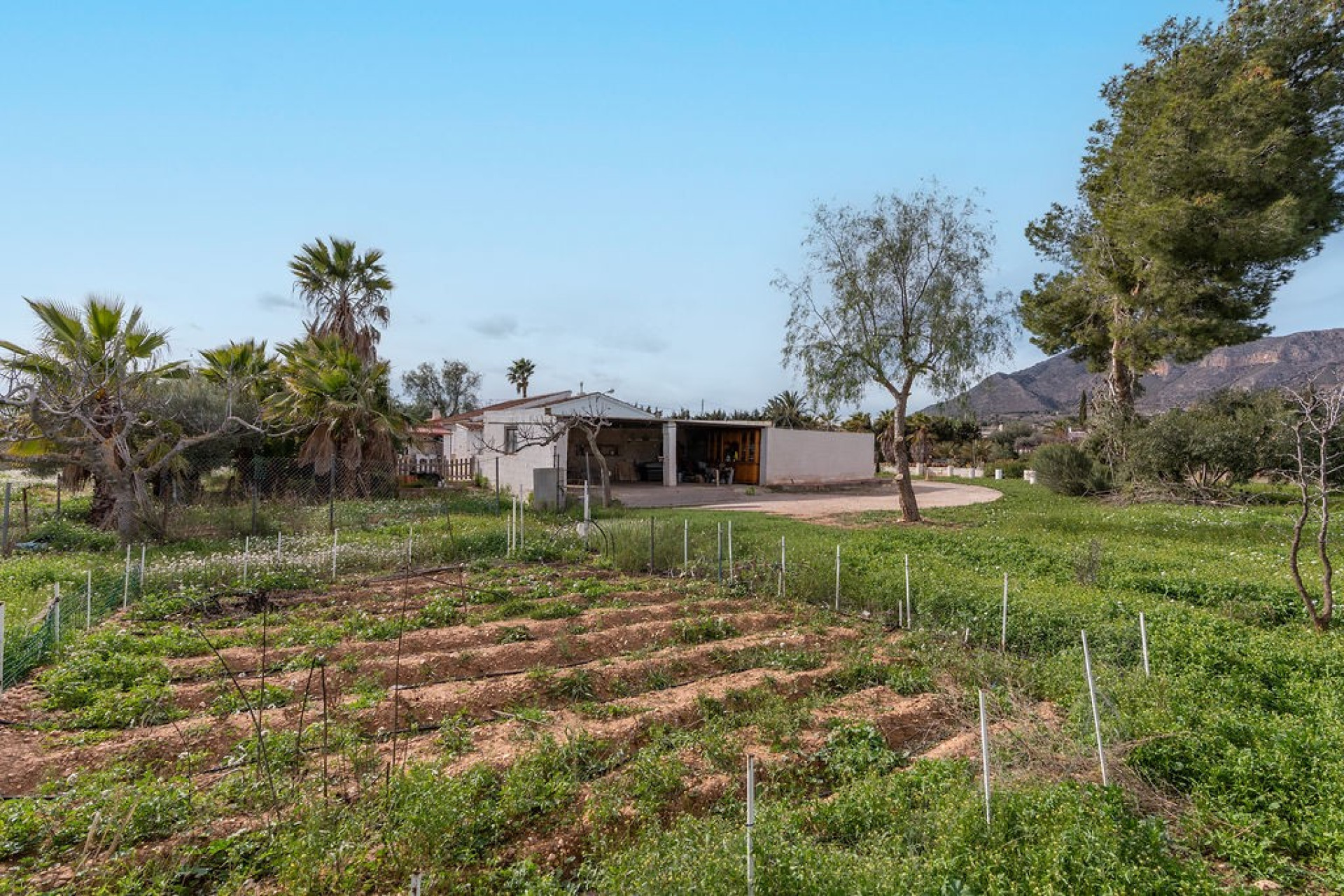 Resale - 6. Detached villa - Hondón de las Nieves - Costa Blanca South