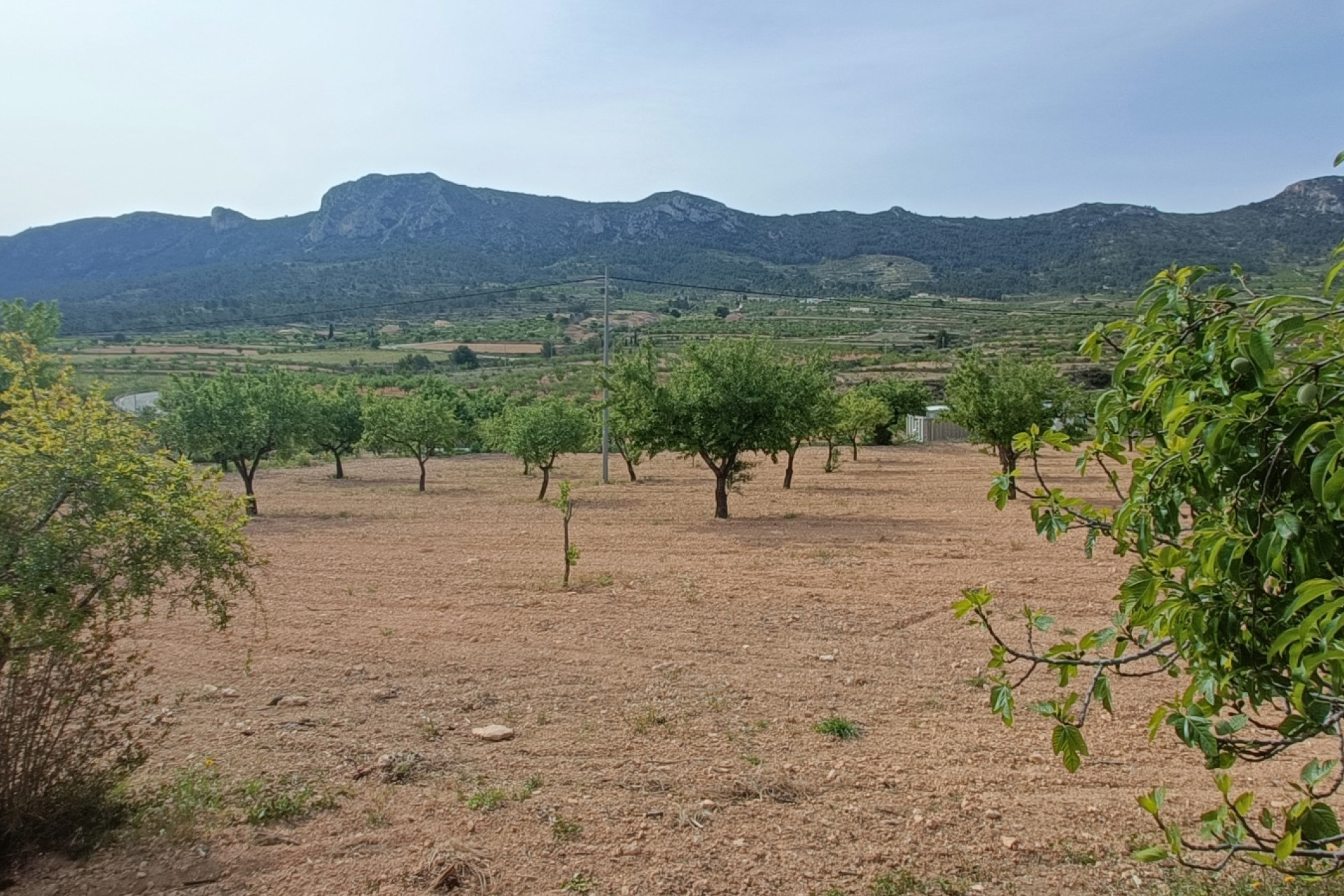 Resale - 6. Detached villa - La Romana - Costa Blanca North