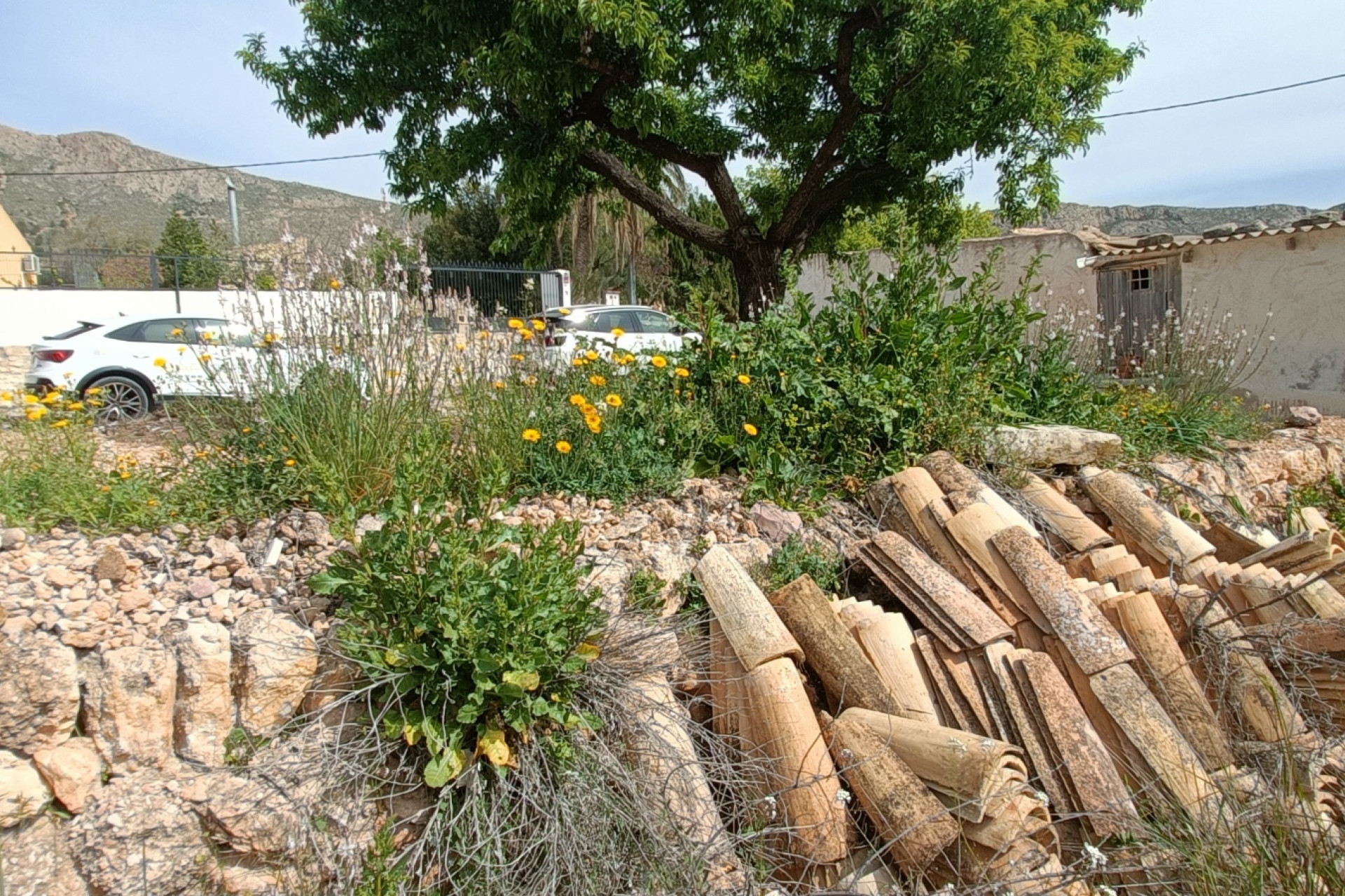 Resale - 6. Detached villa - La Romana - Costa Blanca North