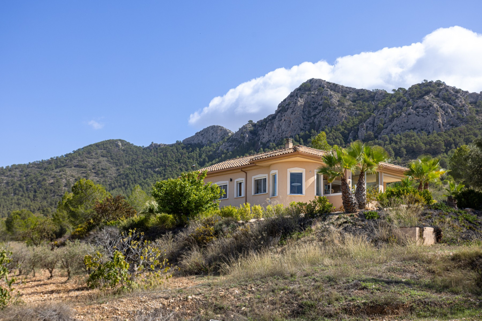 Resale - 6. Detached villa - La Zarza - Costa Calida