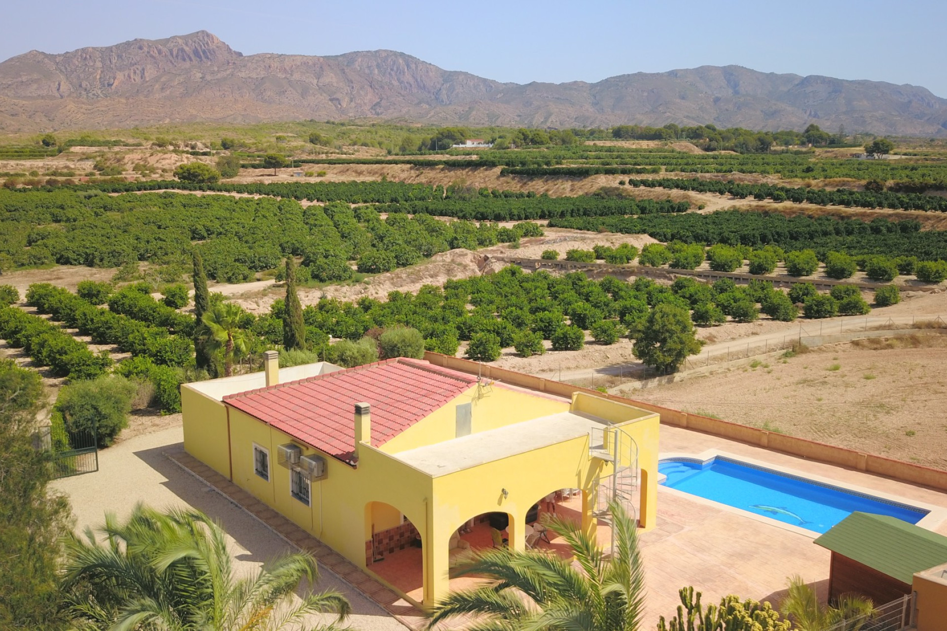 Resale - 7. Finca / Country property - Albatera - Albatera - Country