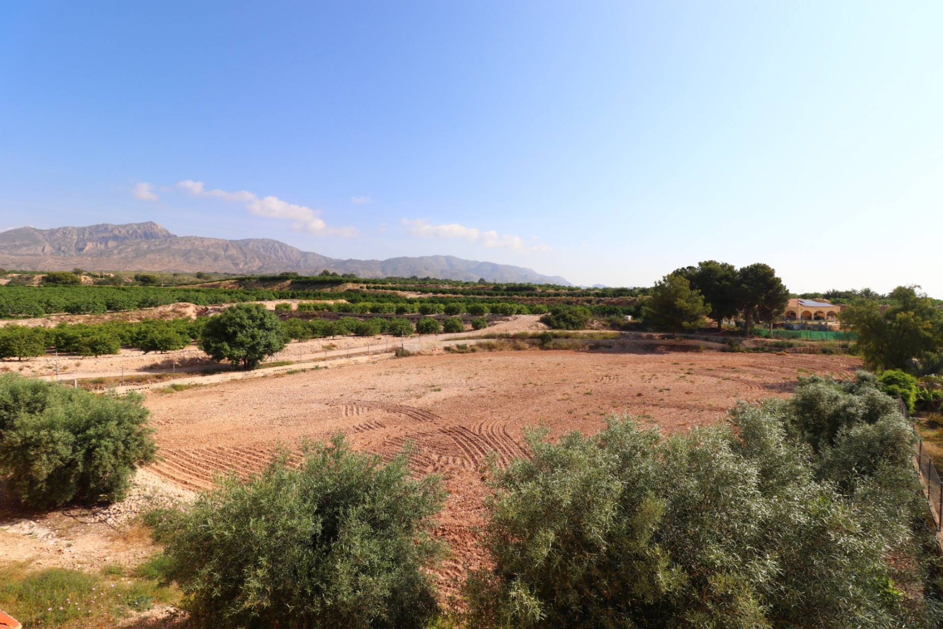 Resale - 7. Finca / Country property - Albatera - Albatera - Country