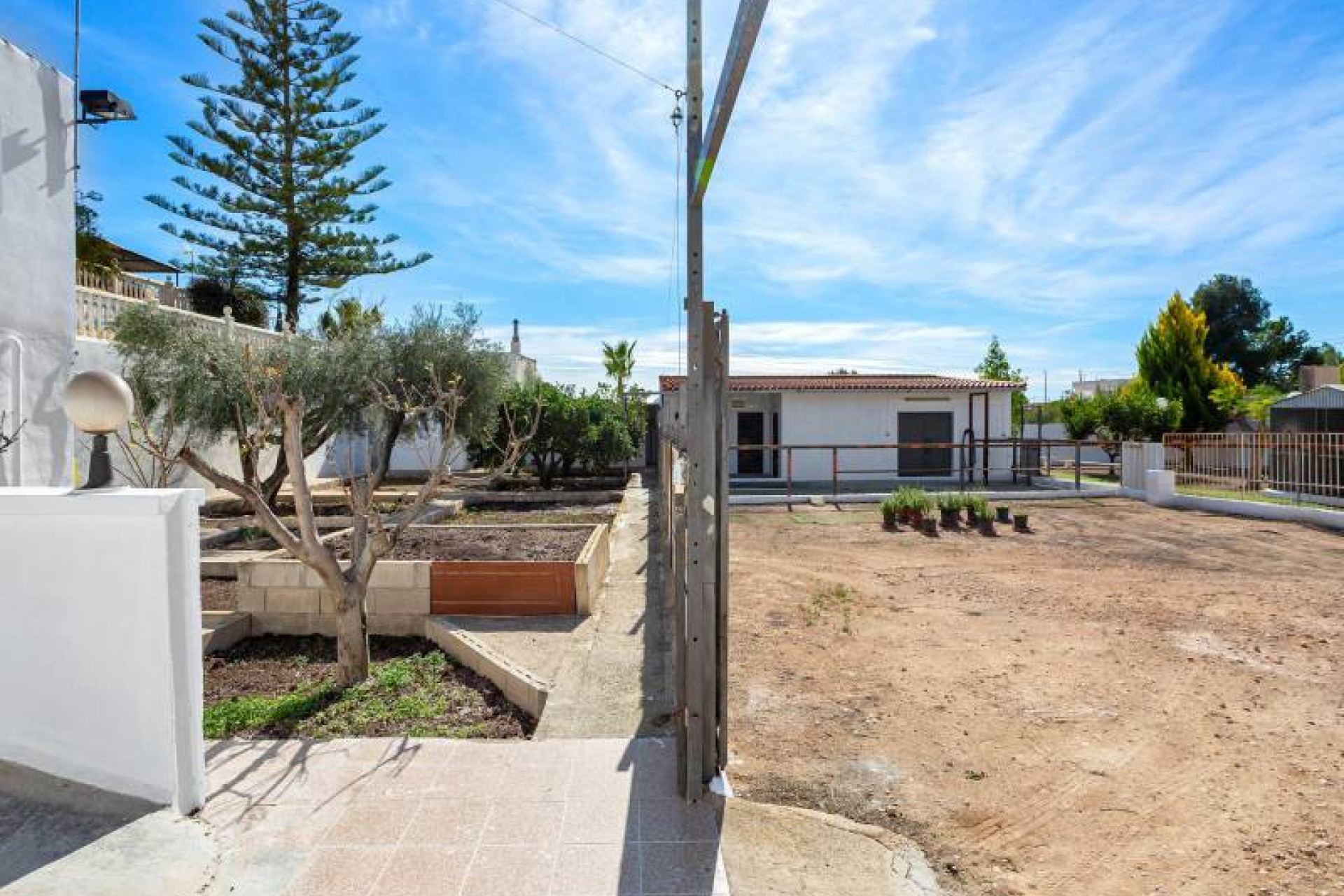 Resale - 7. Finca / Country property - Albatera - Costa Blanca South