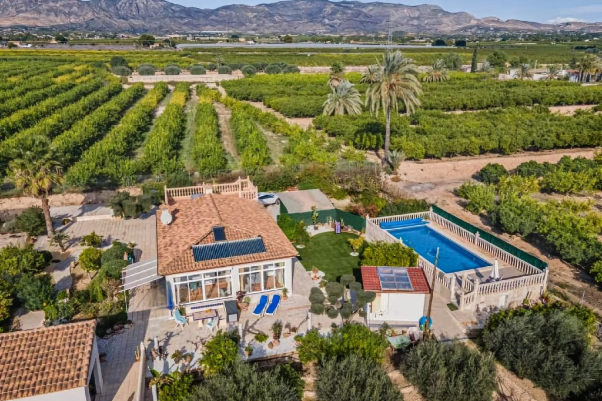 Resale - 7. Finca / Country property - Albatera - Costa Blanca South