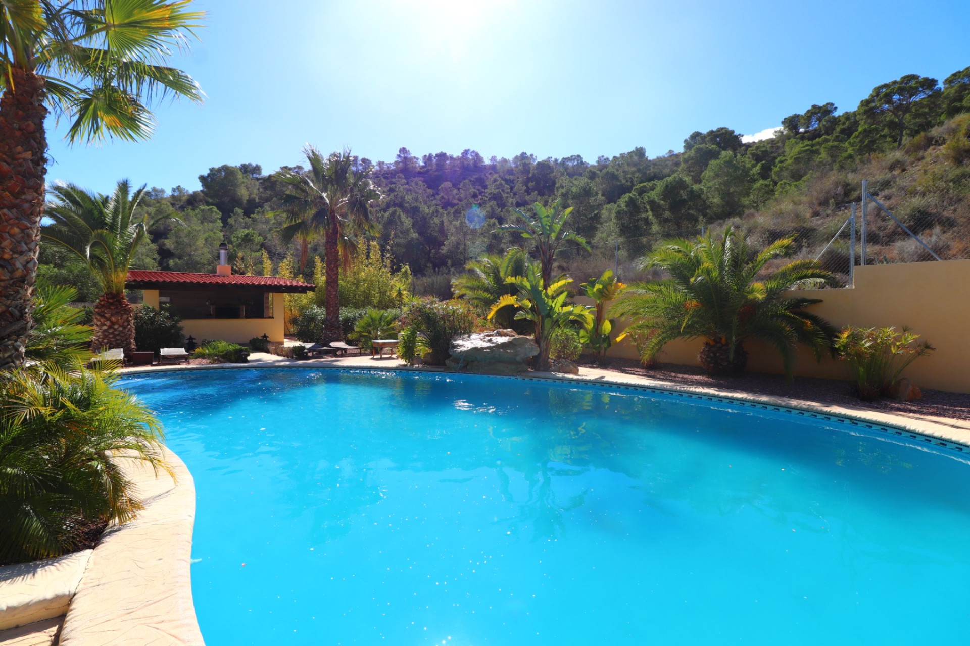 Resale - 7. Finca / Country property - Aspe - Costa Blanca North