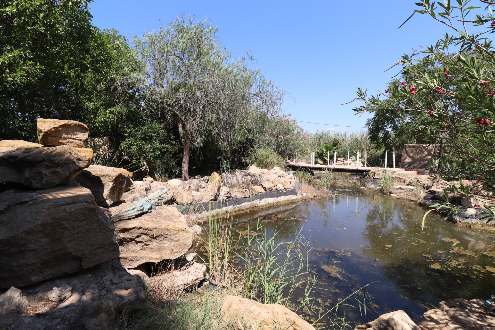 Resale - 7. Finca / Country property - Catral - Costa Blanca South