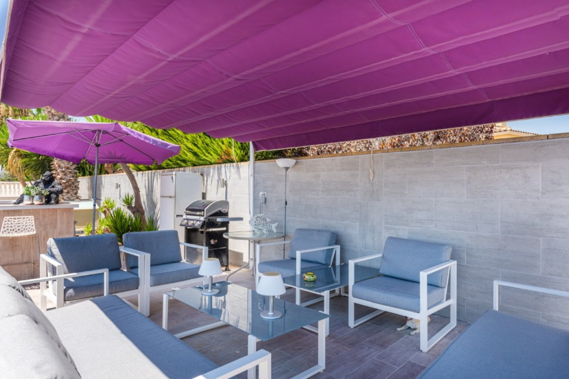 Resale - 7. Finca / Country property - Catral - Costa Blanca South