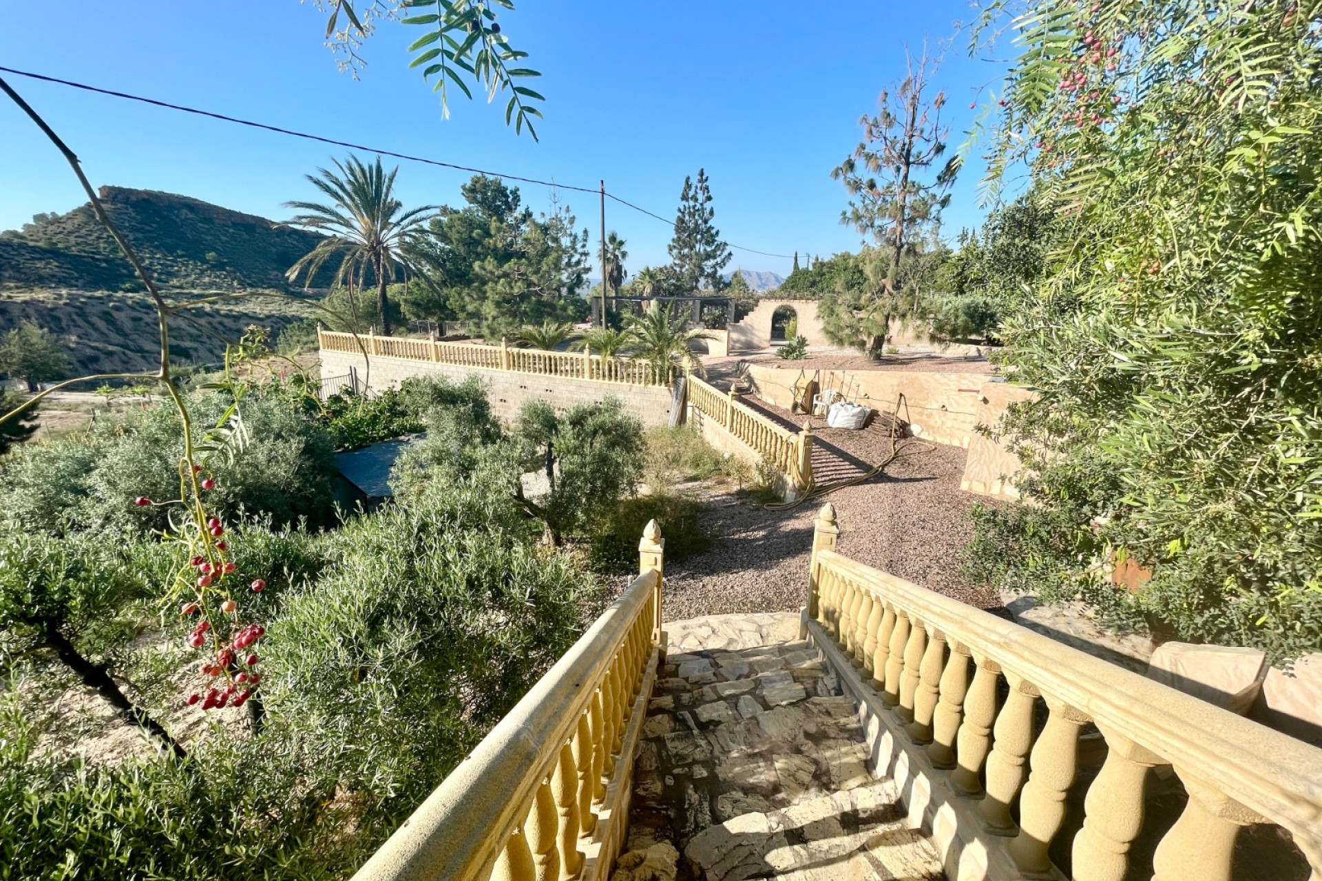 Resale - 7. Finca / Country property - Crevillent - Crevillente
