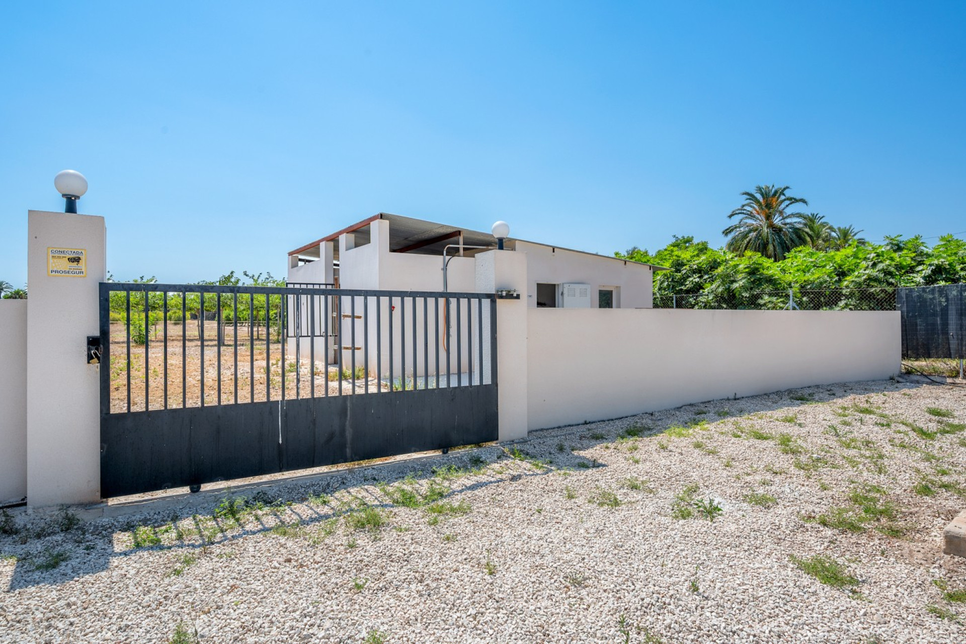 Resale - 7. Finca / Country property - Elche - Costa Blanca South