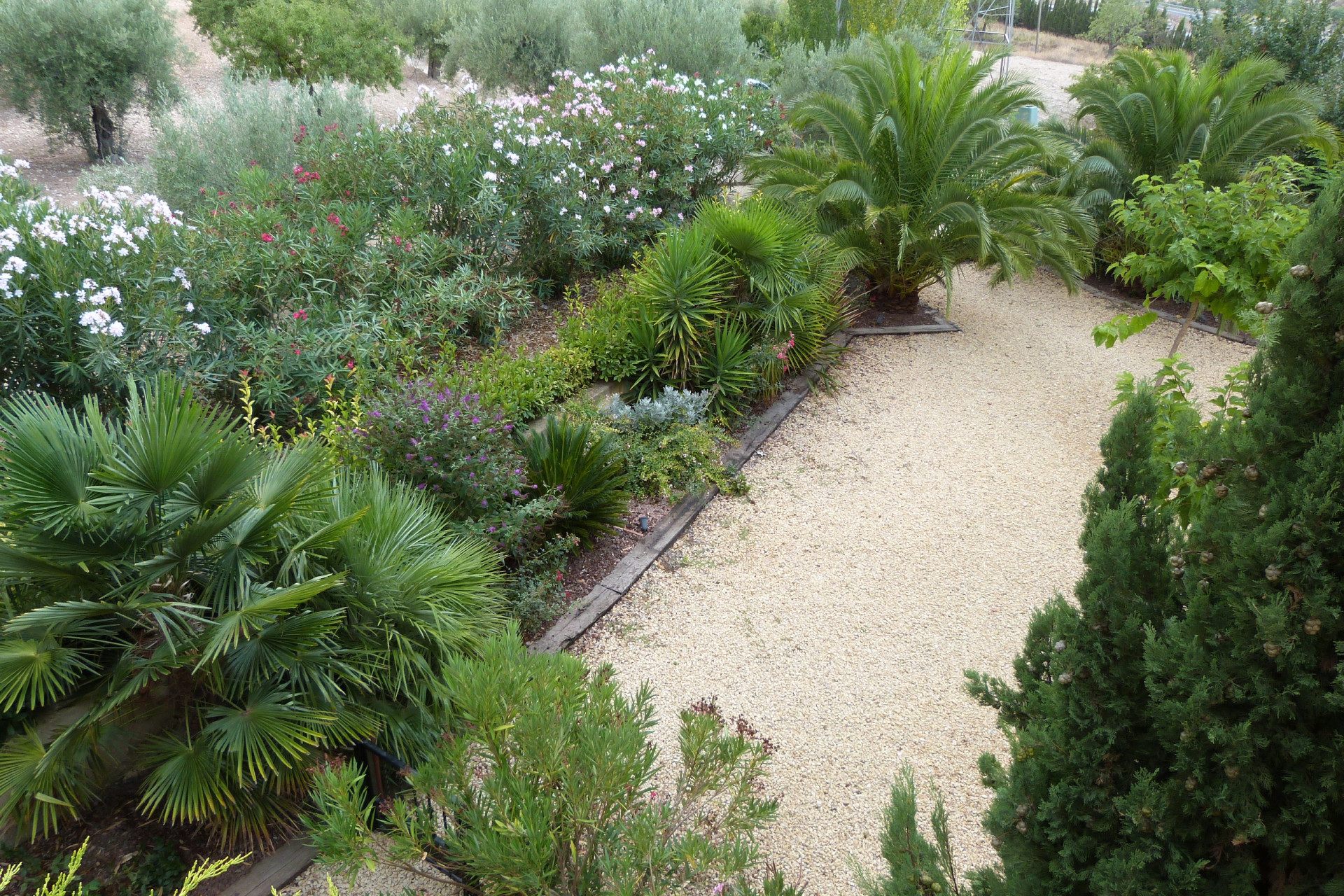 Resale - 7. Finca / Country property - Ibi - Costa Blanca North