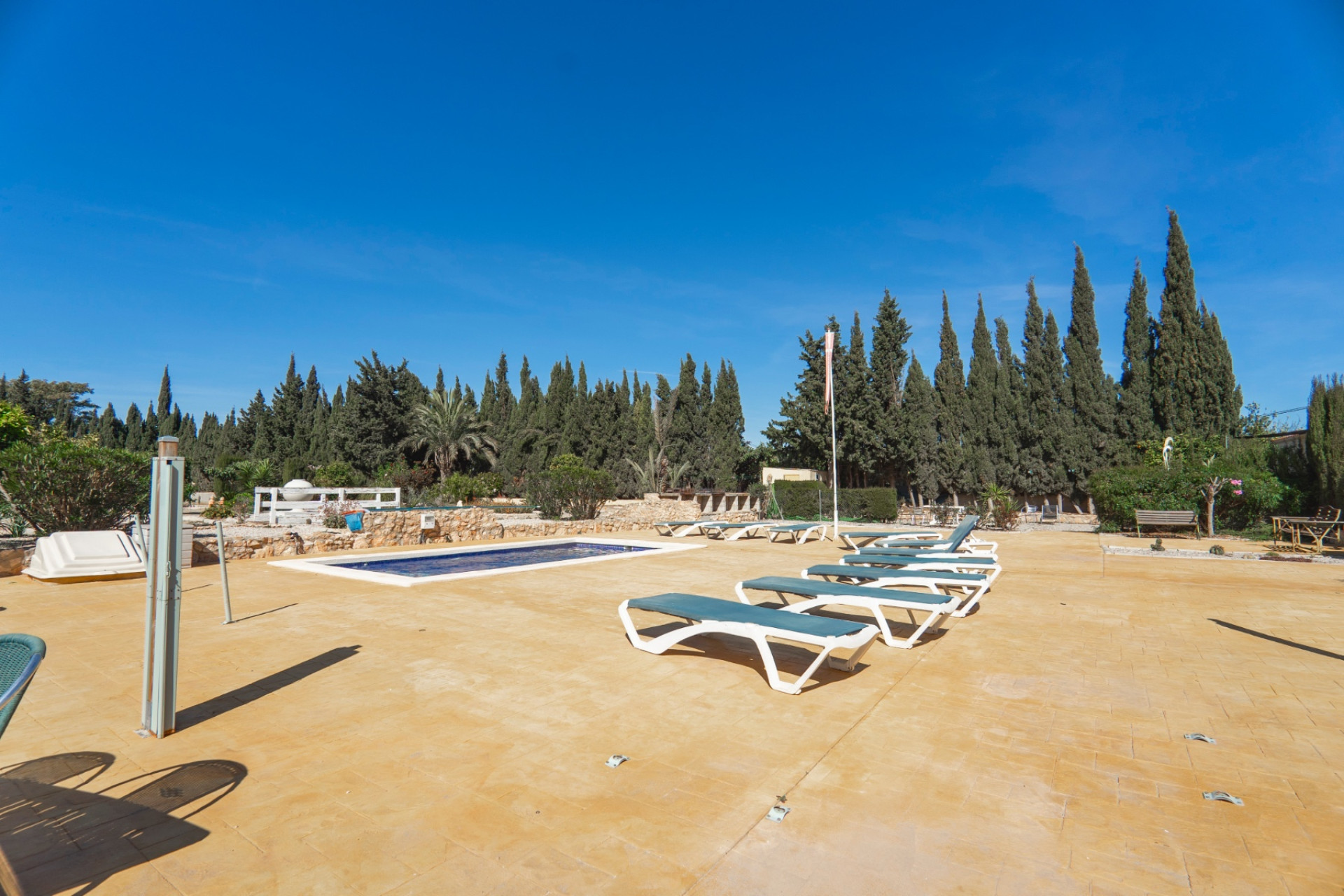 Resale - 7. Finca / Country property - Los Montesinos - Costa Blanca South