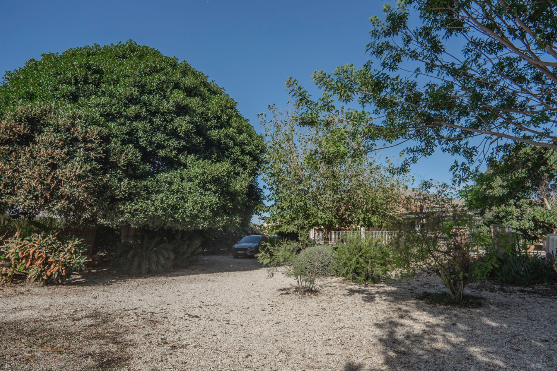 Resale - 7. Finca / Country property - Orihuela - Costa Blanca South