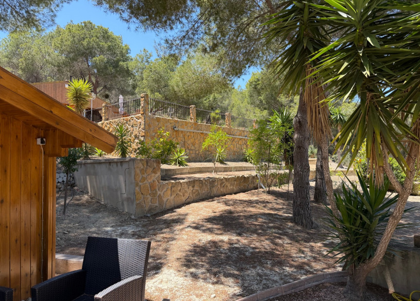 Resale - 7. Finca / Country property - Orihuela - Costa Blanca South