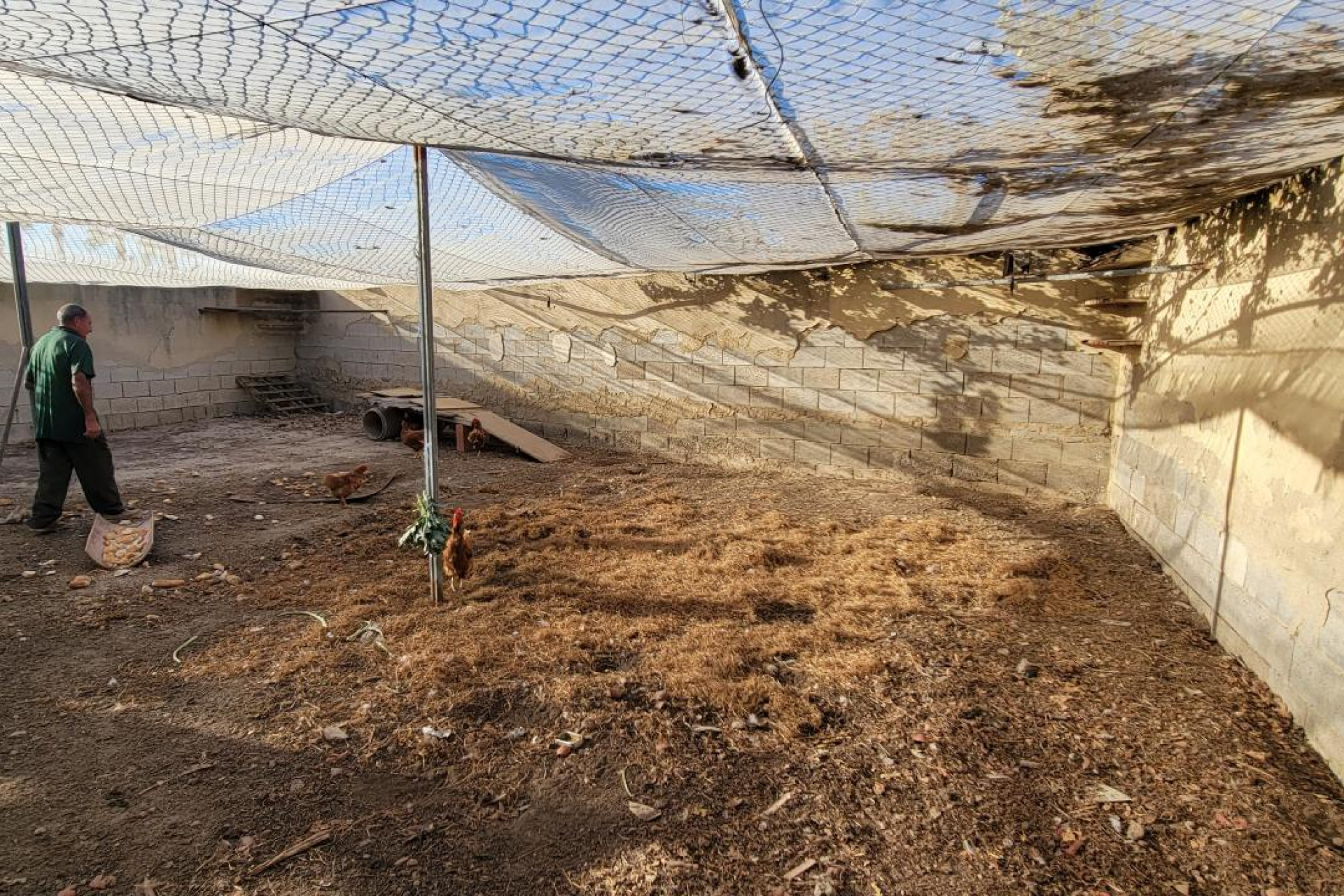 Resale - 7. Finca / Country property - San Miguel de Salinas - Costa Blanca South