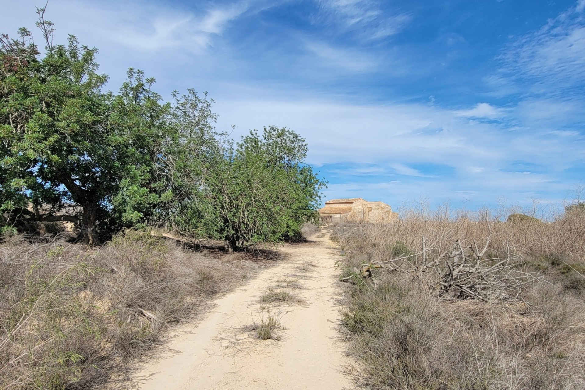 Resale - 7. Finca / Country property - San Miguel de Salinas - Costa Blanca South