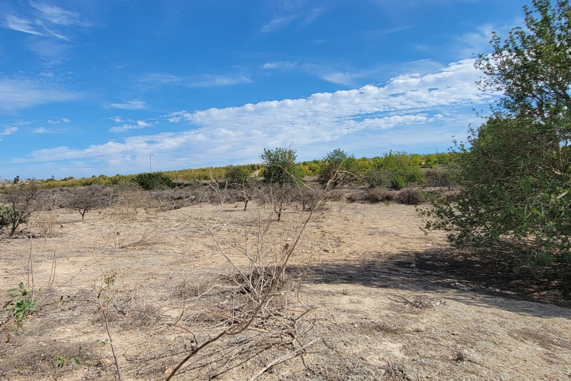 Resale - 7. Finca / Country property - San Miguel de Salinas - Costa Blanca South