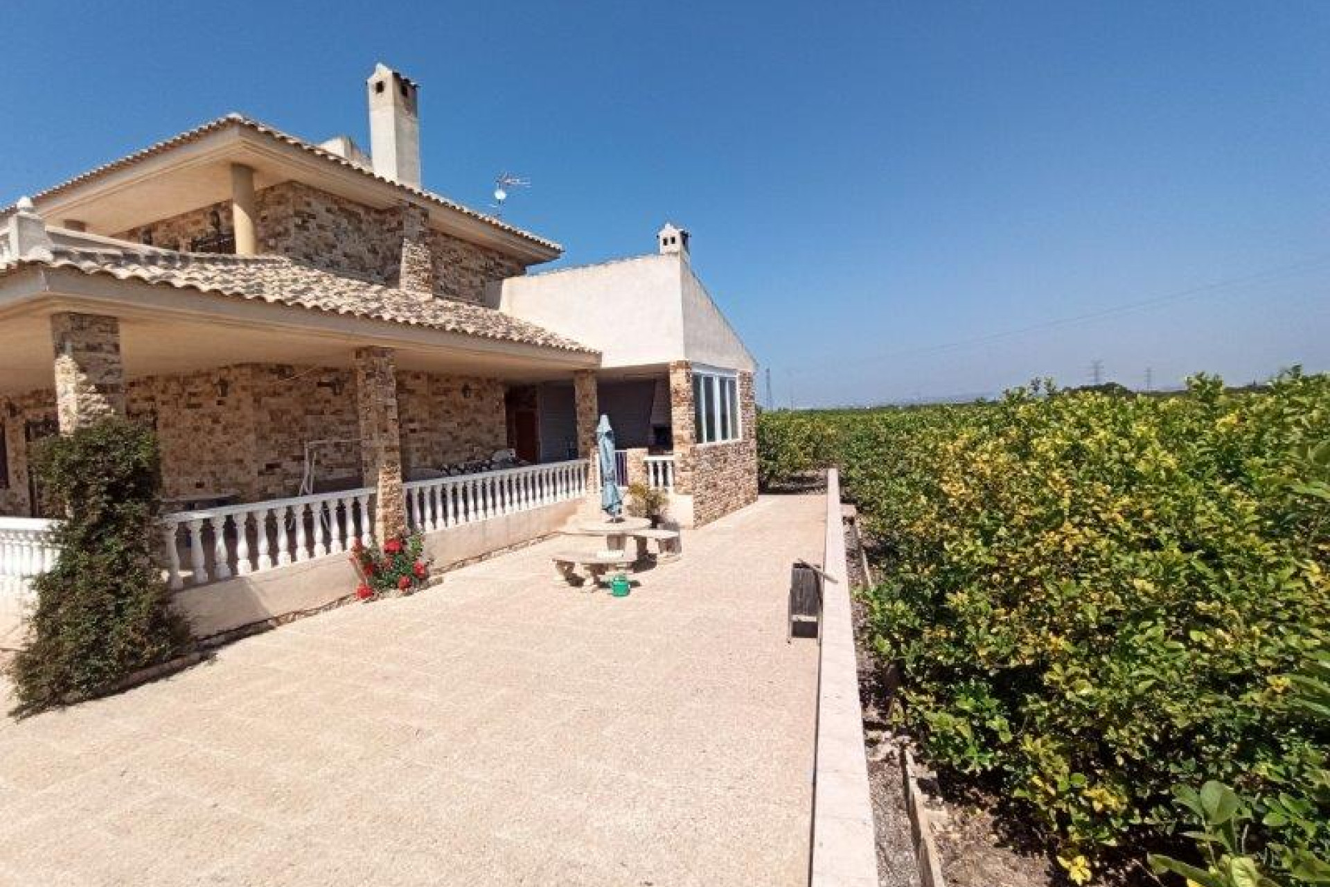 Resale - 7. Finca / Country property - San Miguel de Salinas - Costa Blanca South