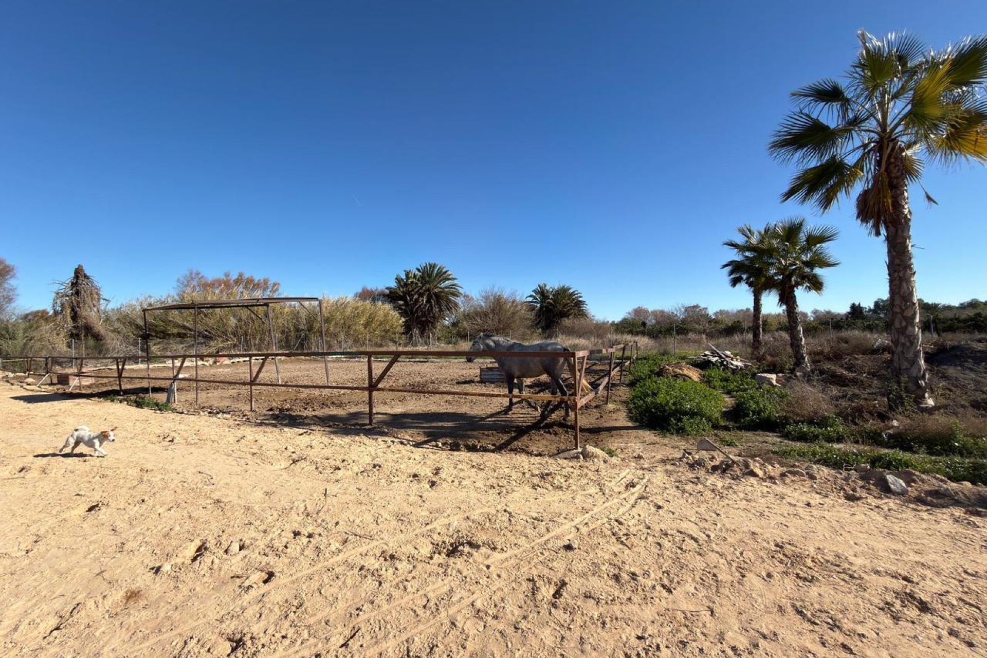 Resale - Building Plot - Algorfa - Costa Blanca South