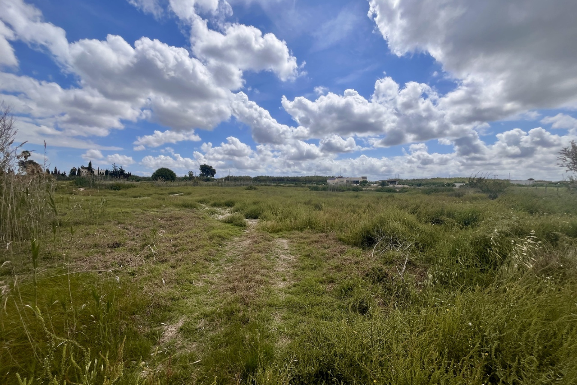 Resale - Building Plot - Catral - Costa Blanca South