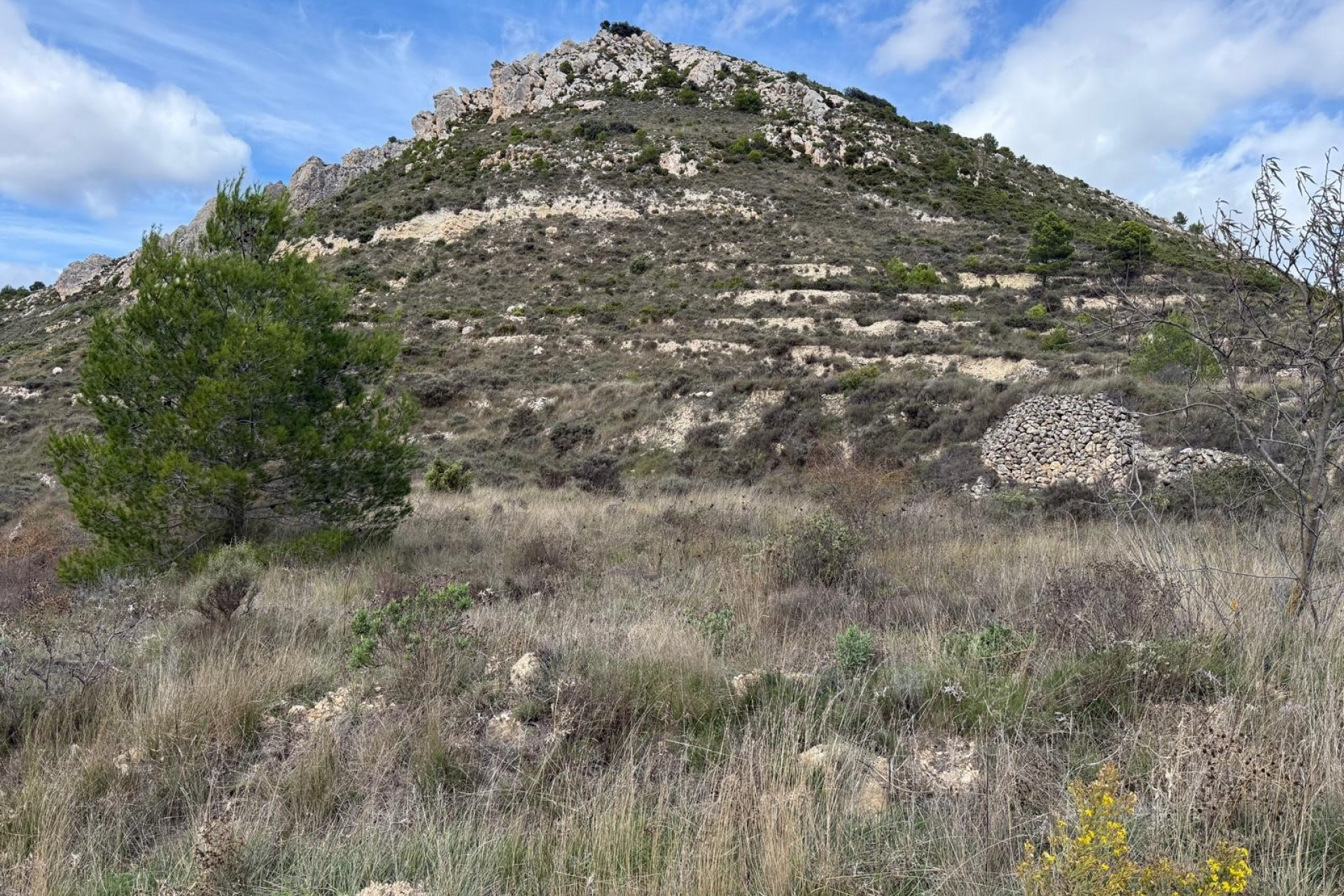 Resale - Building Plot - Confrides - Barranc de Xarquera