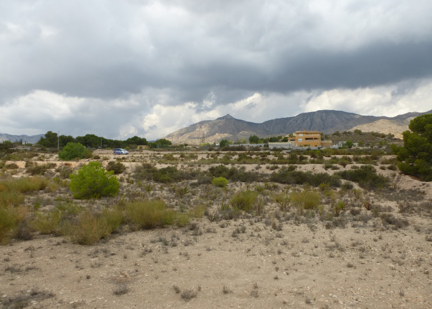 Resale - Building Plot - Crevillente - Orihuela