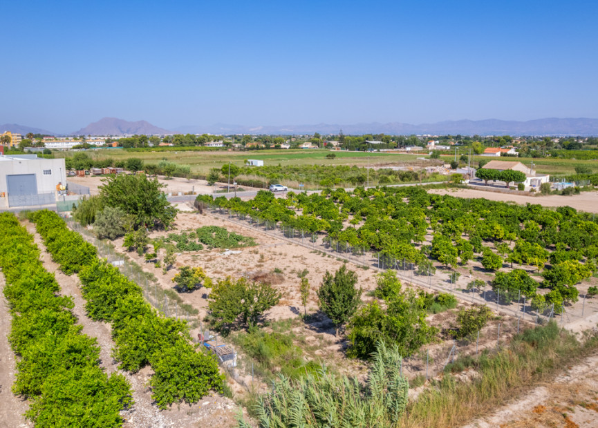 Resale - Building Plot - Formentera del Segura - Costa Blanca South