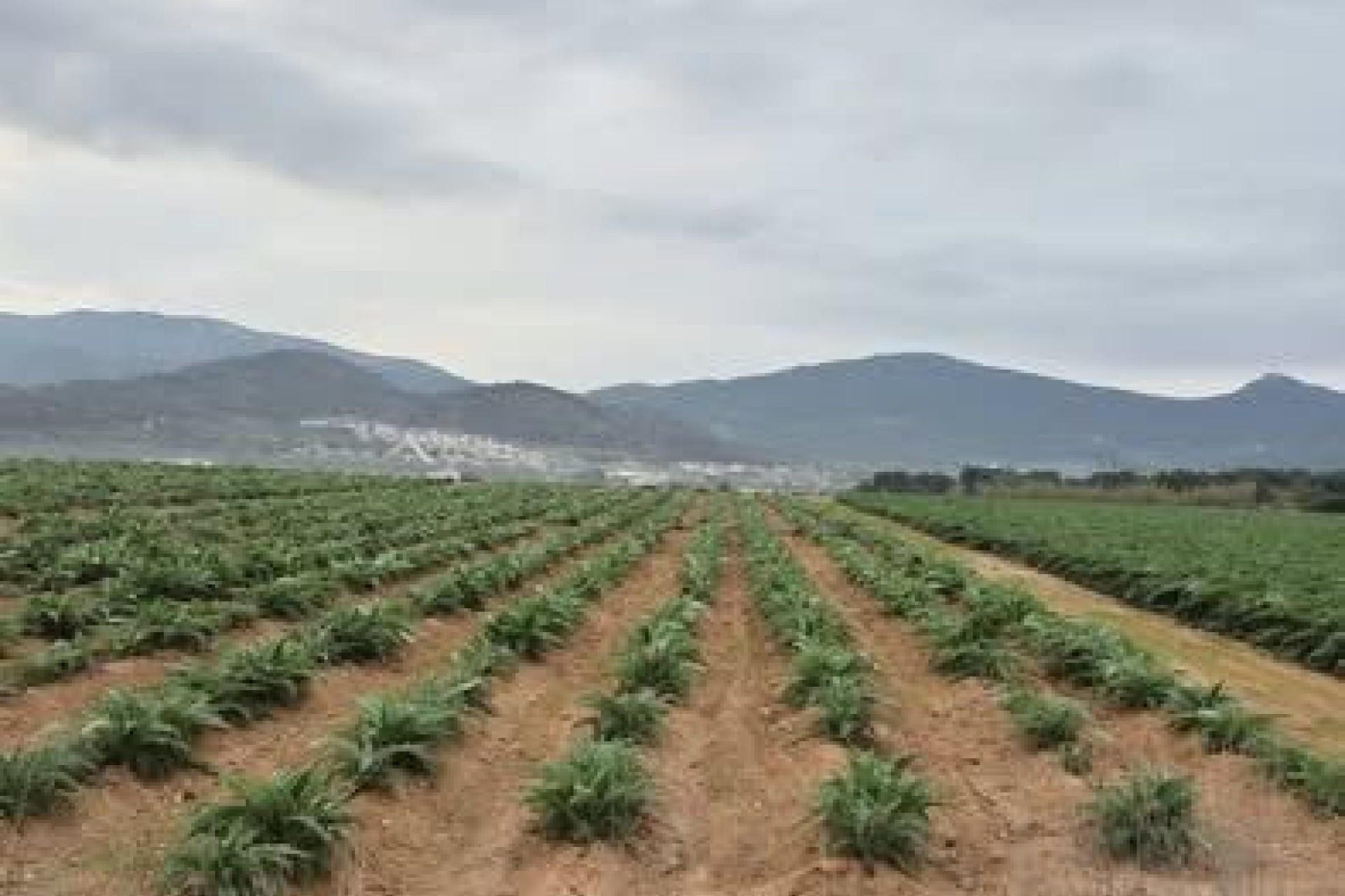 Resale - Building Plot - Hondón de las Nieves - Costa Blanca South