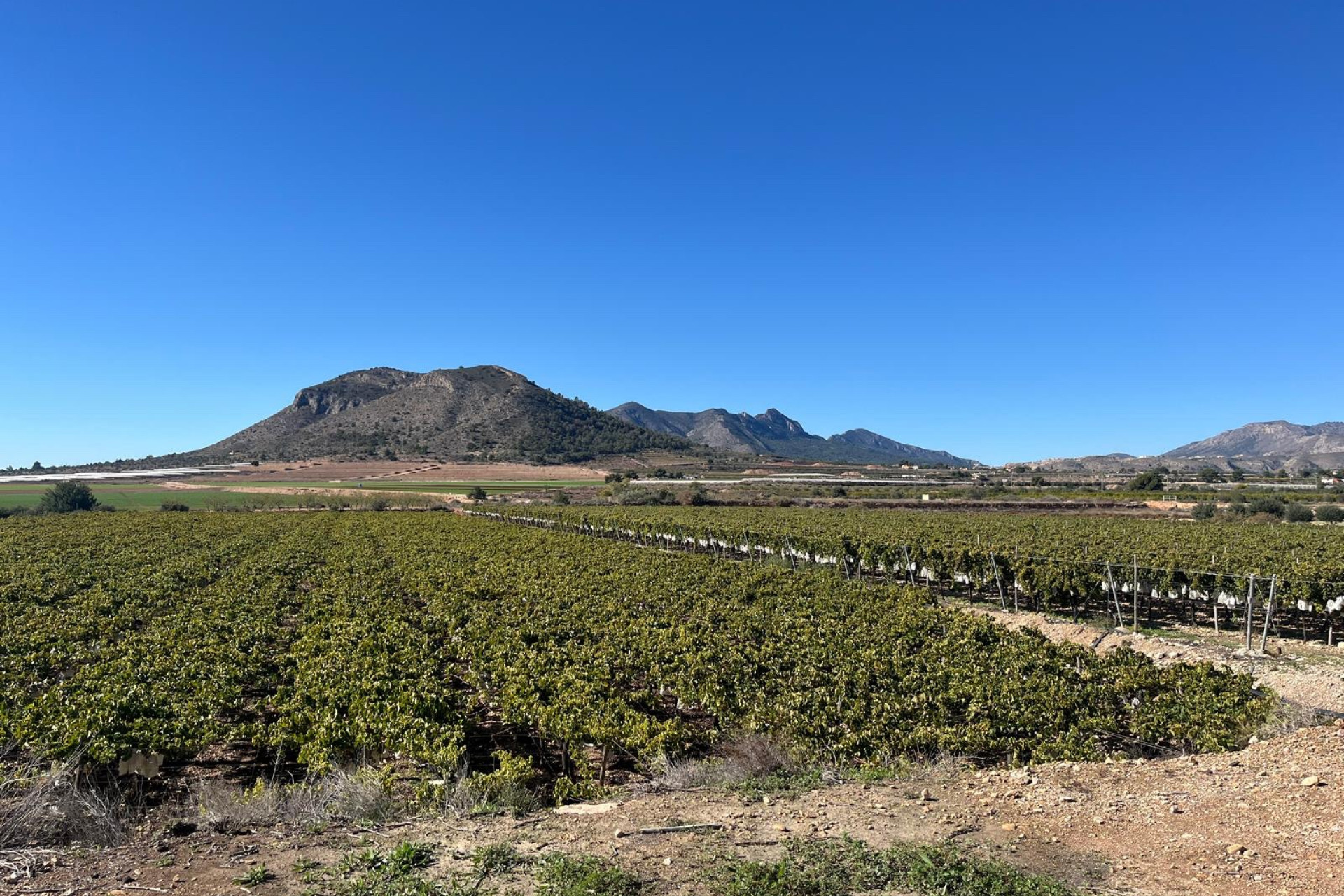 Resale - Building Plot - La Romana - Costa Blanca North