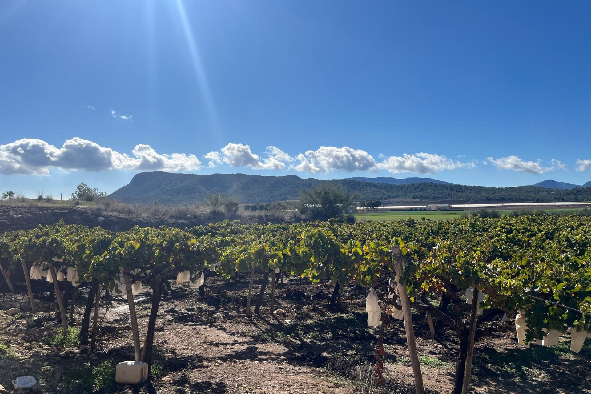 Resale - Building Plot - La Romana - Costa Blanca North