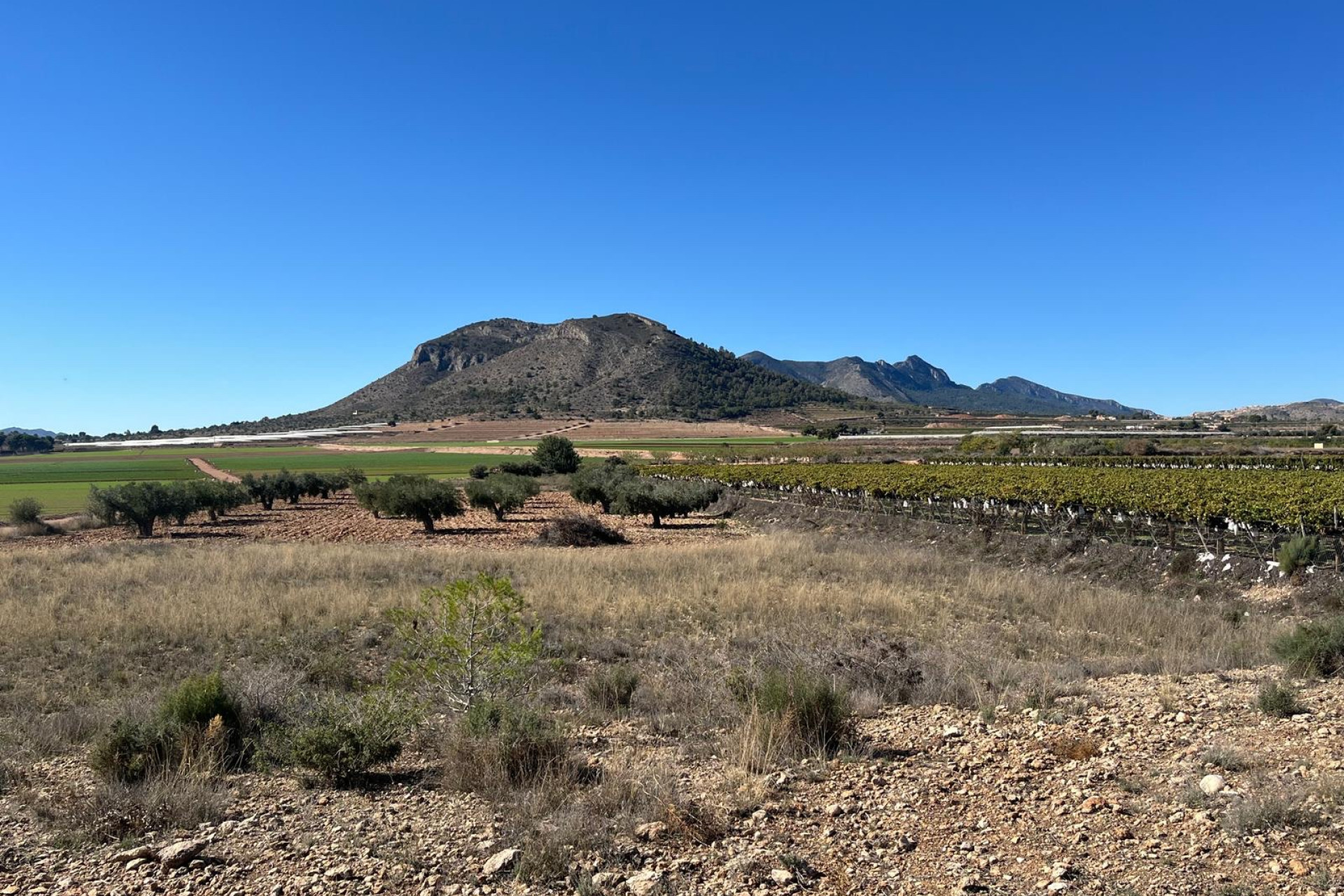 Resale - Building Plot - La Romana - Costa Blanca North