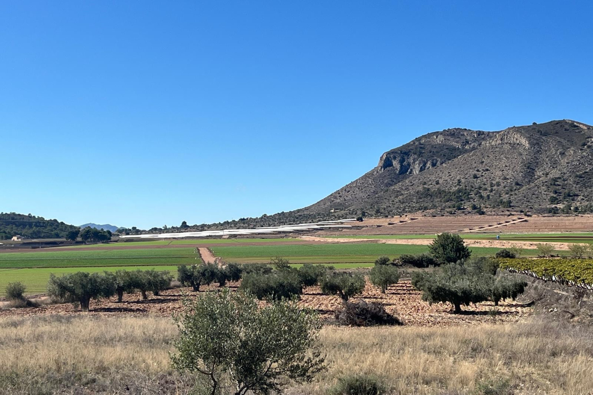 Resale - Building Plot - La Romana - Costa Blanca North