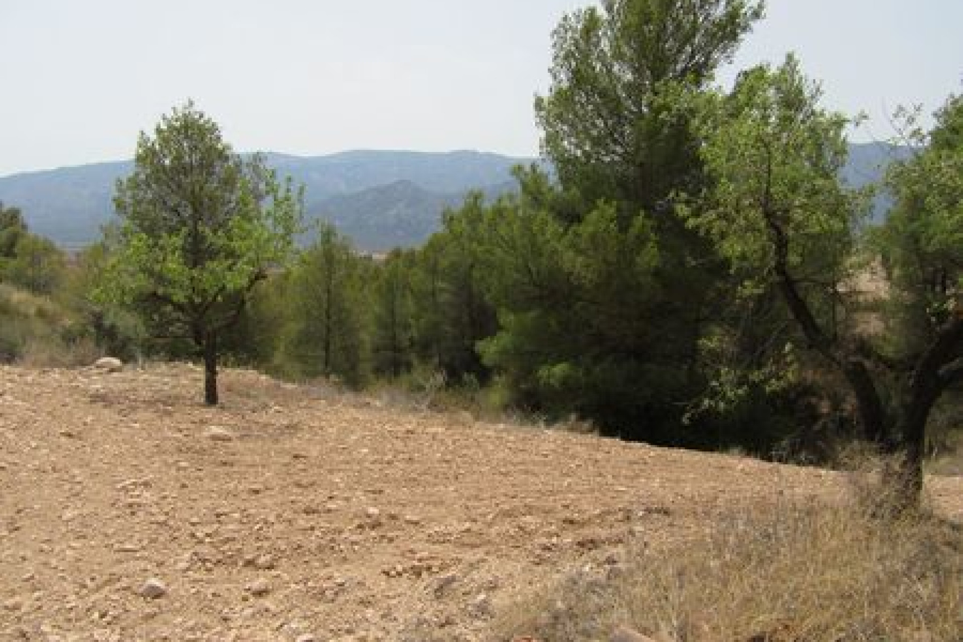 Resale - Building Plot - Murcia - Costa Calida
