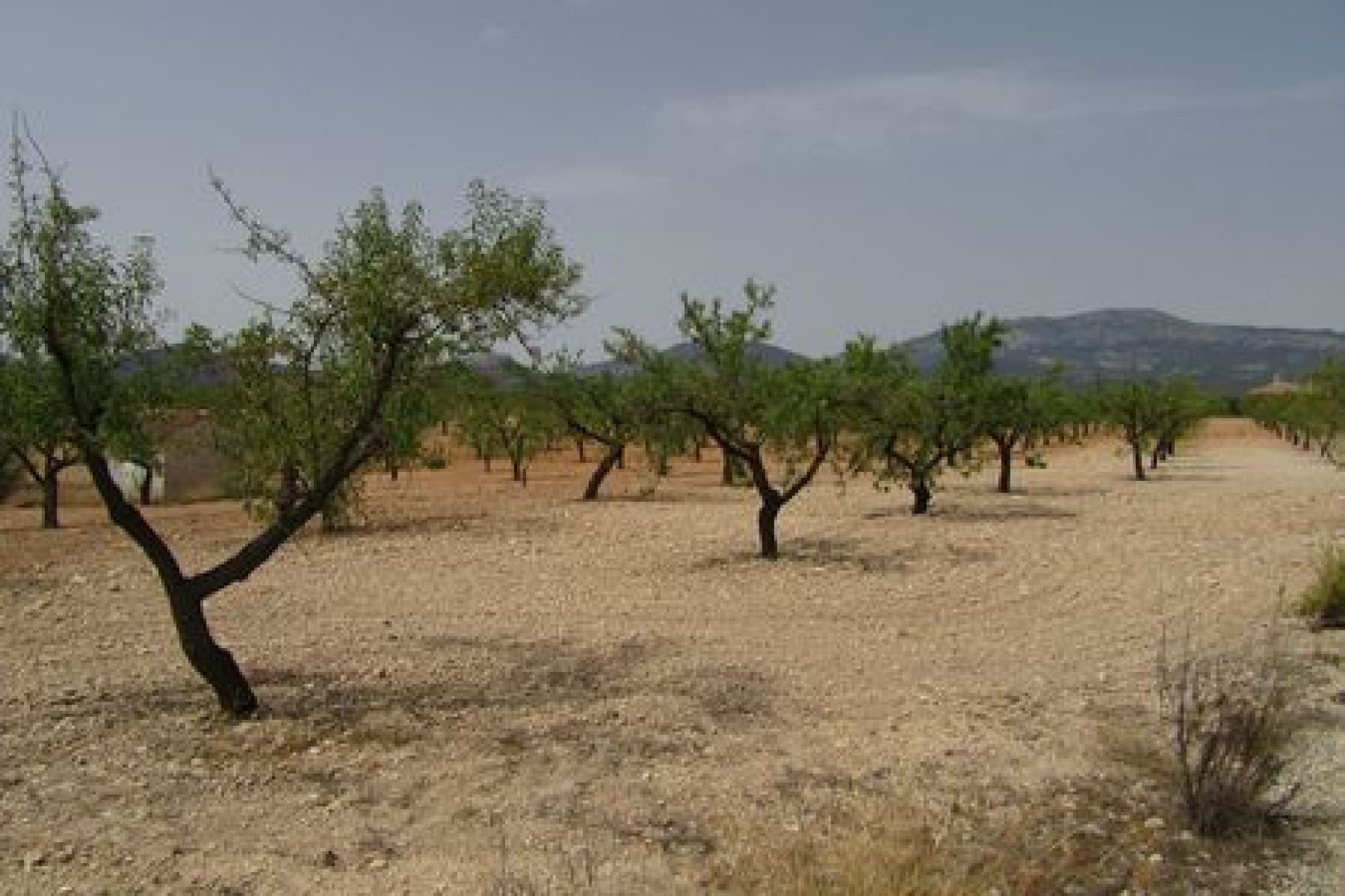 Resale - Building Plot - Murcia - Costa Calida