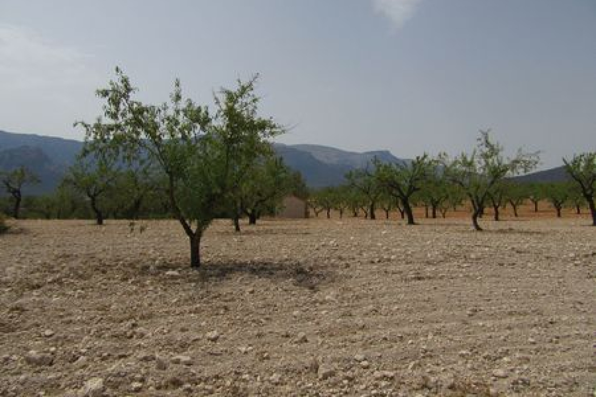 Resale - Building Plot - Murcia - Costa Calida