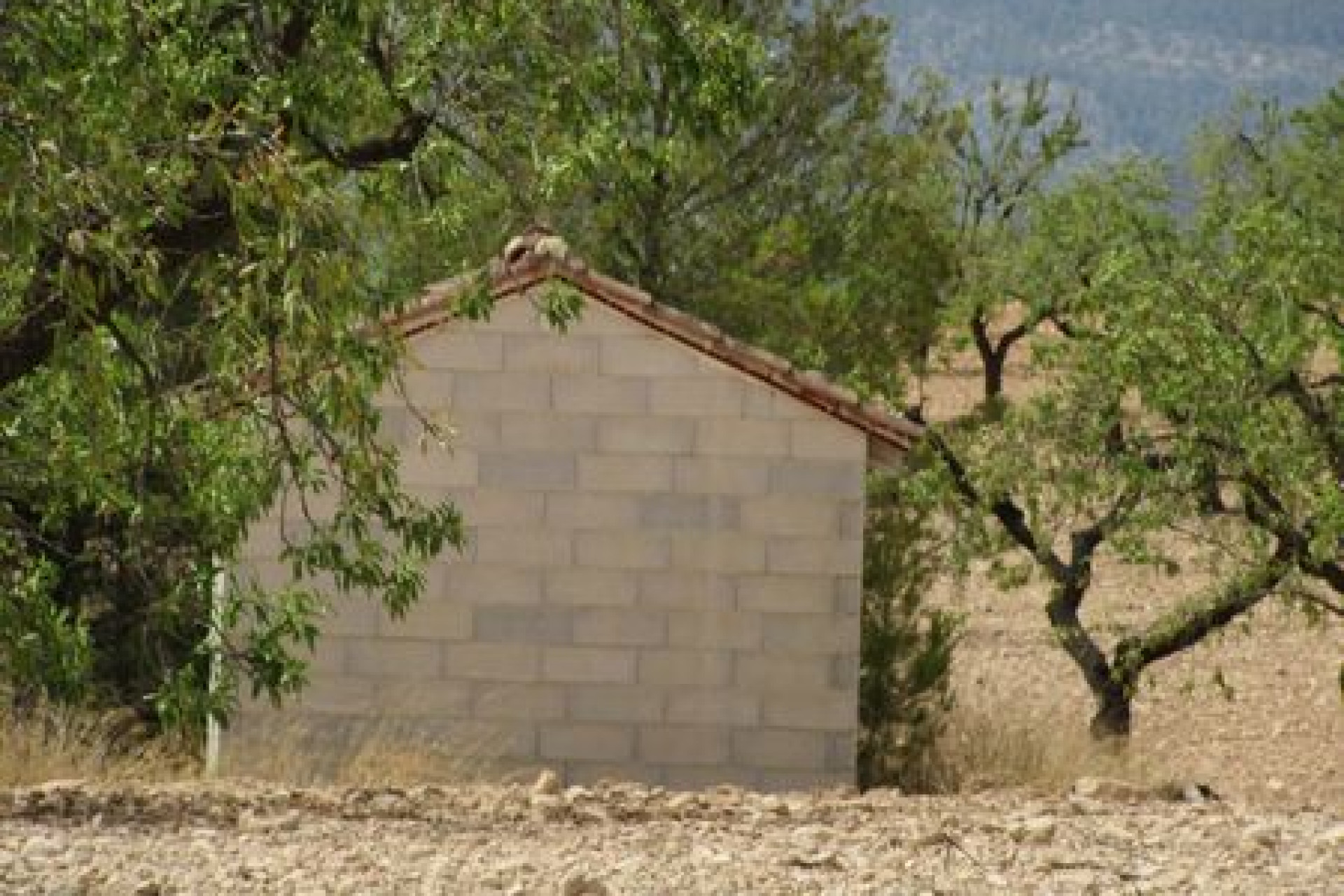 Resale - Building Plot - Murcia - Costa Calida