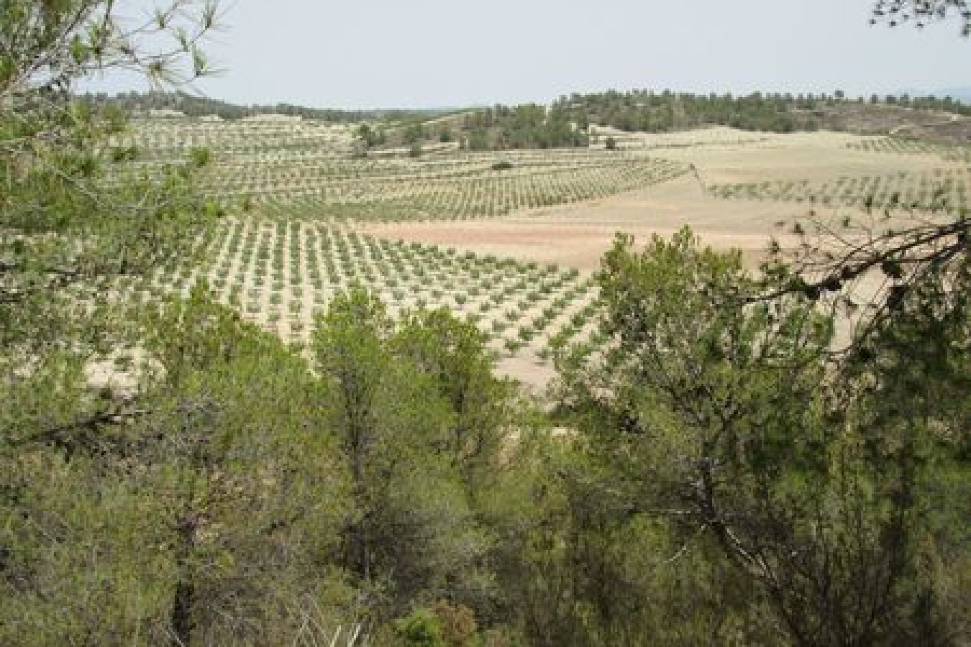 Resale - Building Plot - Murcia - Costa Calida