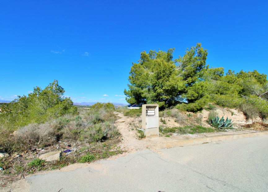 Resale - Building Plot - San Miguel de Salinas - Costa Blanca South